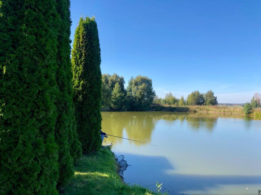 Domek nad stawem