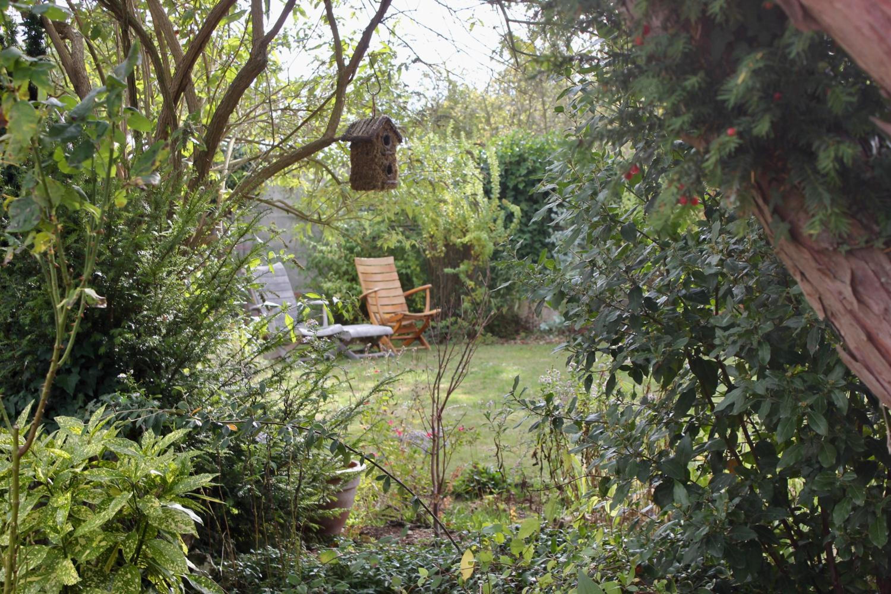 Photo 24
