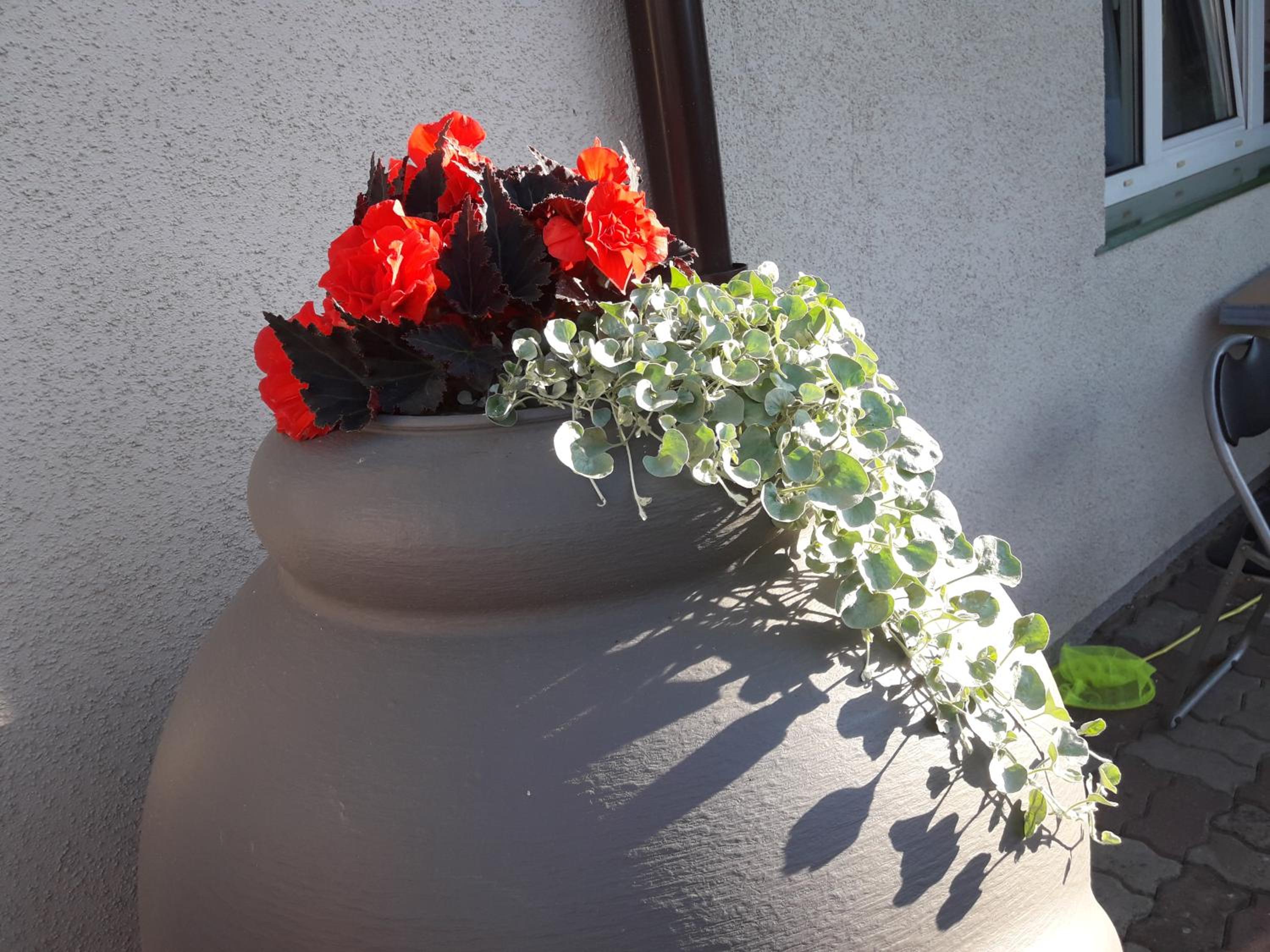 Pokoje goscinne Akacja Resko - Property Image 76