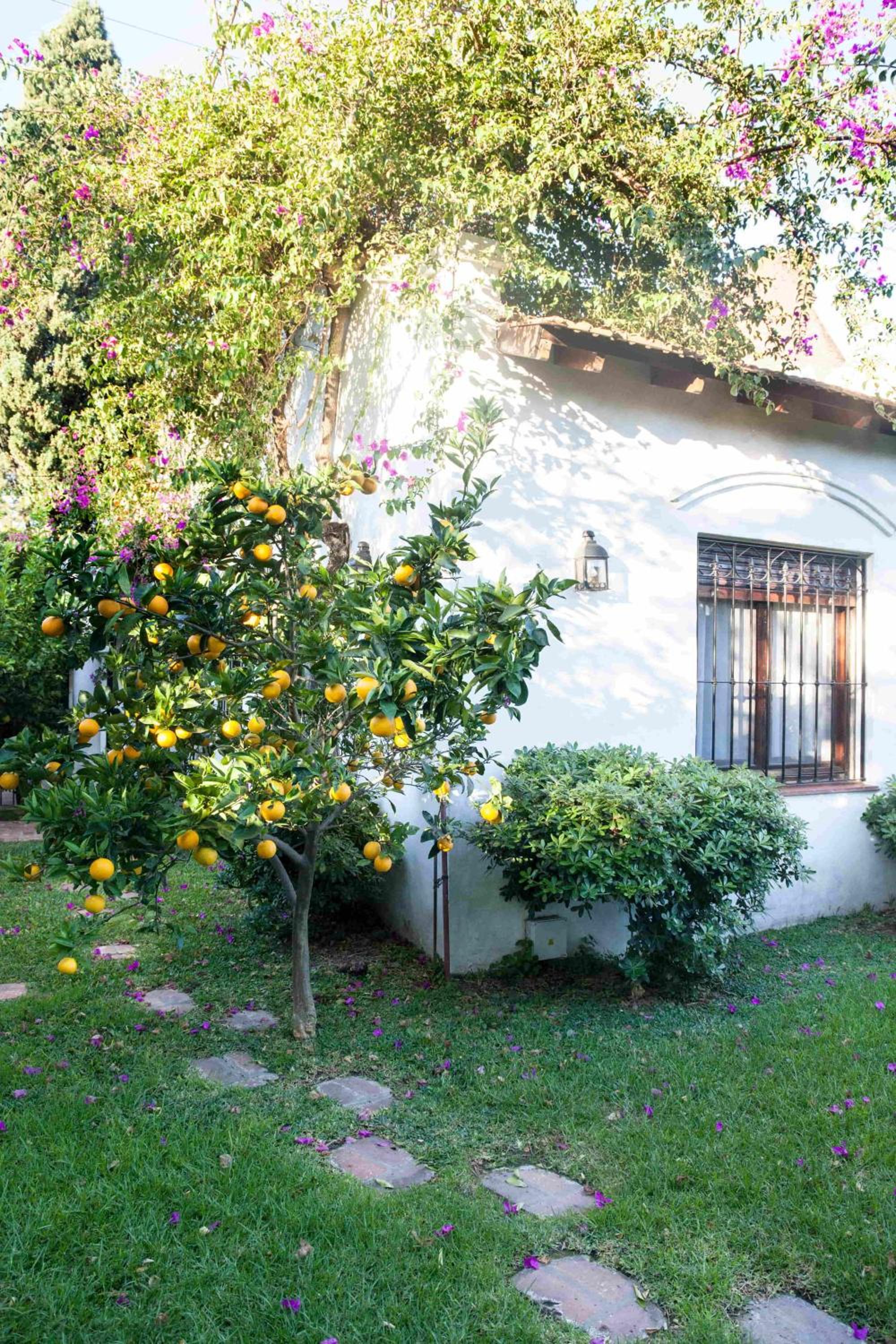 Susana Just Boutique Hotel