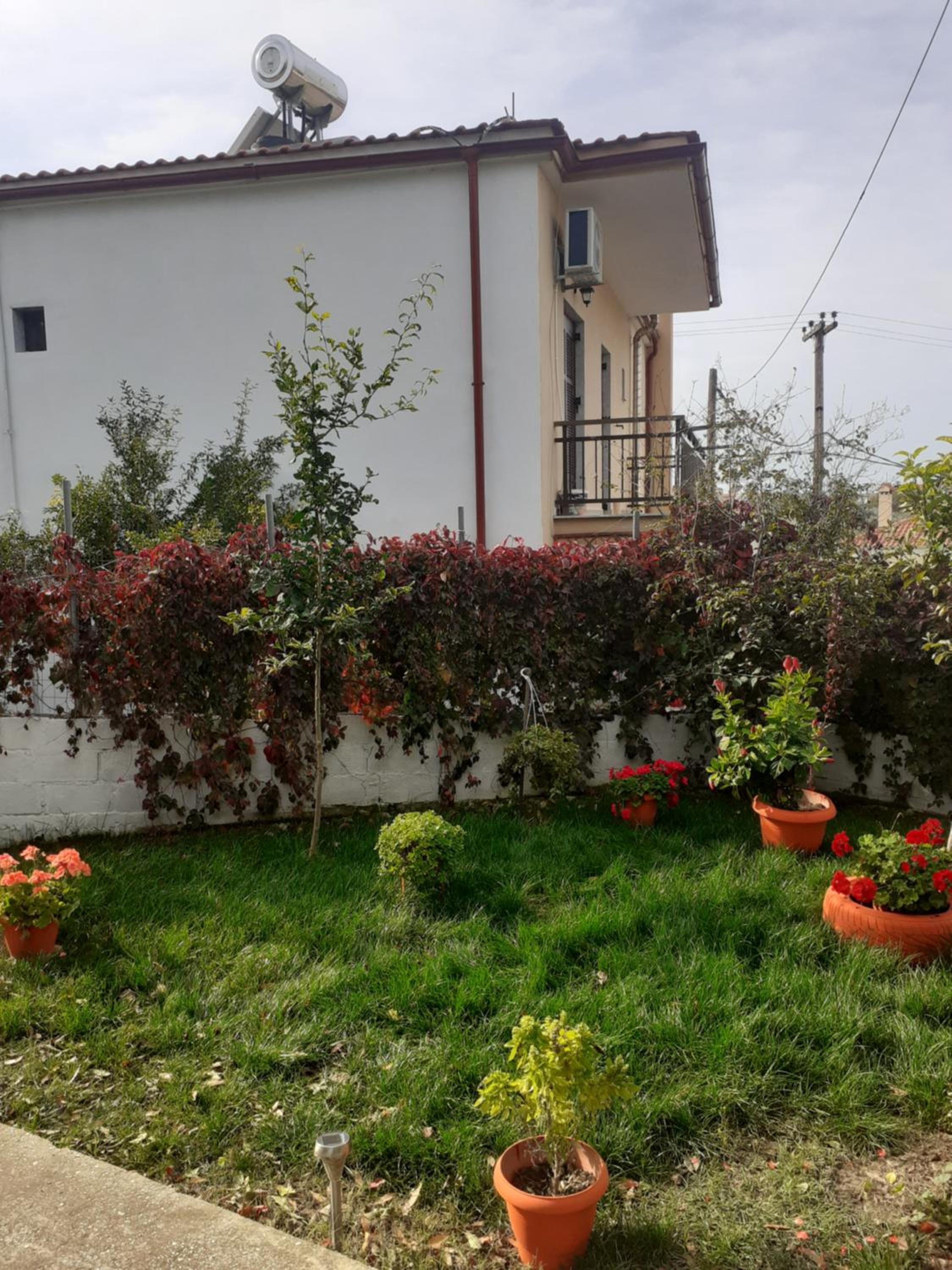 Photo 24