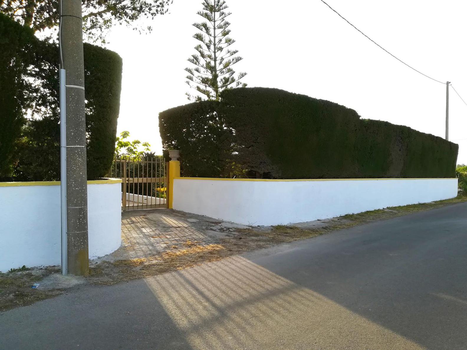 Photo 28