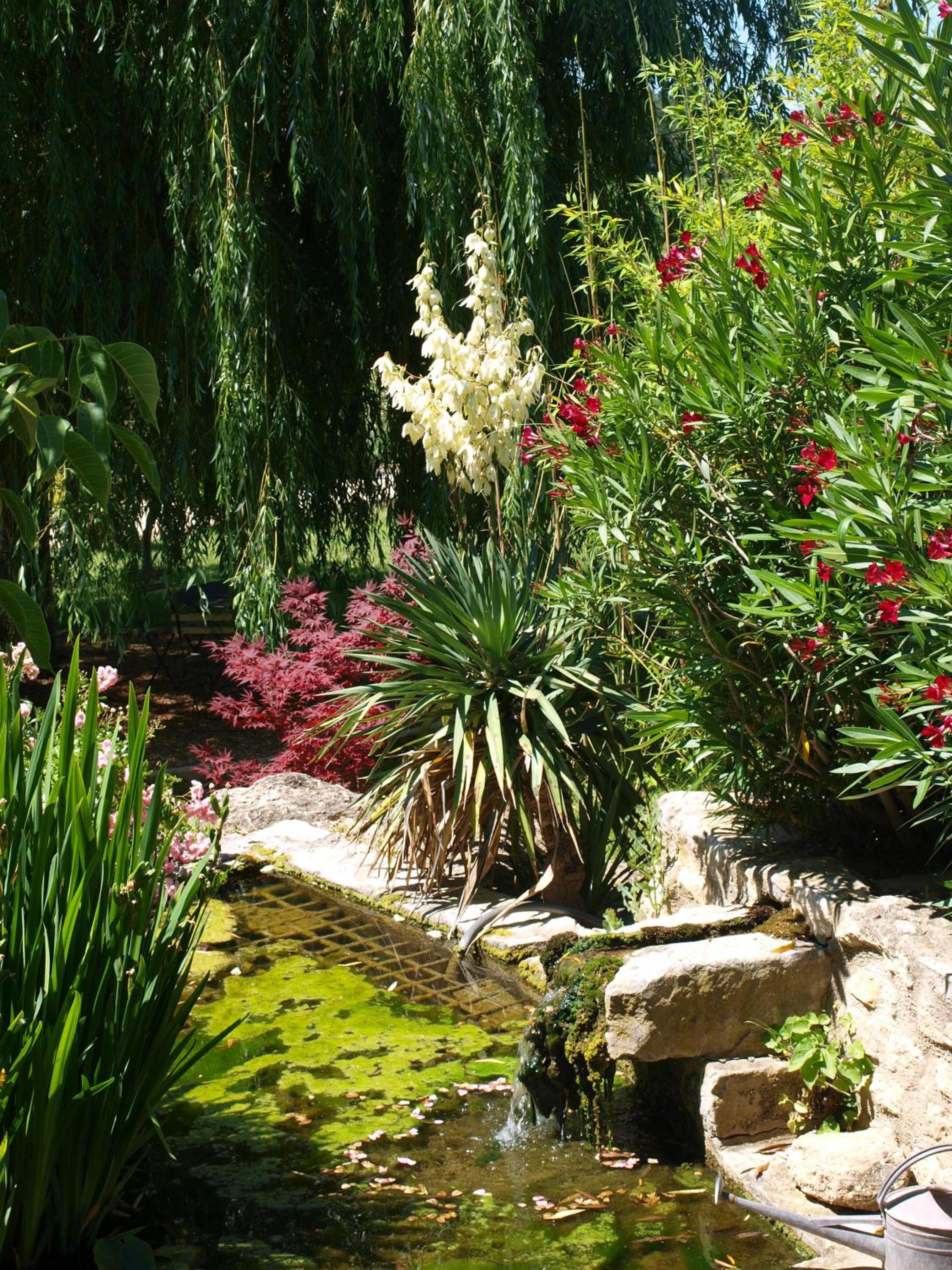 jardin d'antan view 3