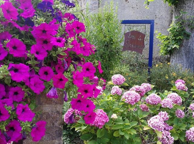 Les Quatre Saisons view 2