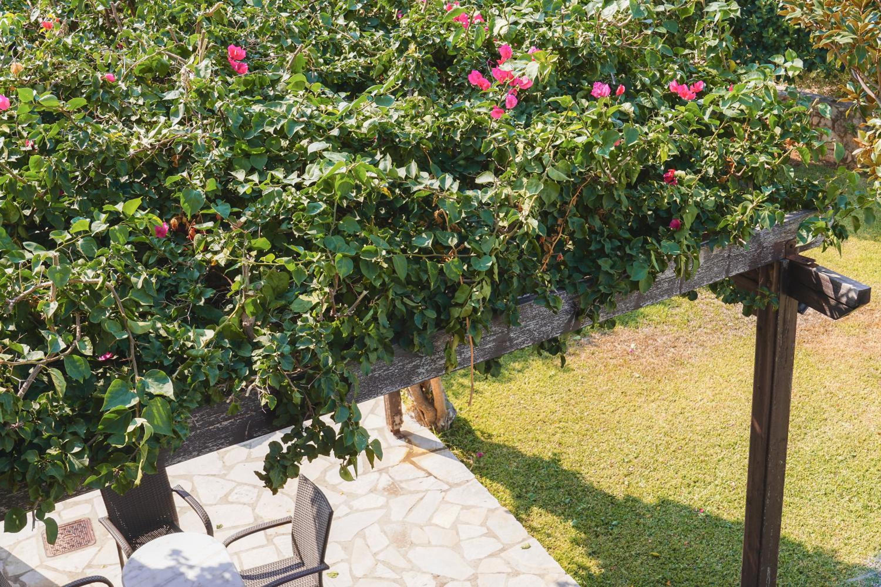 Kefalos Villas