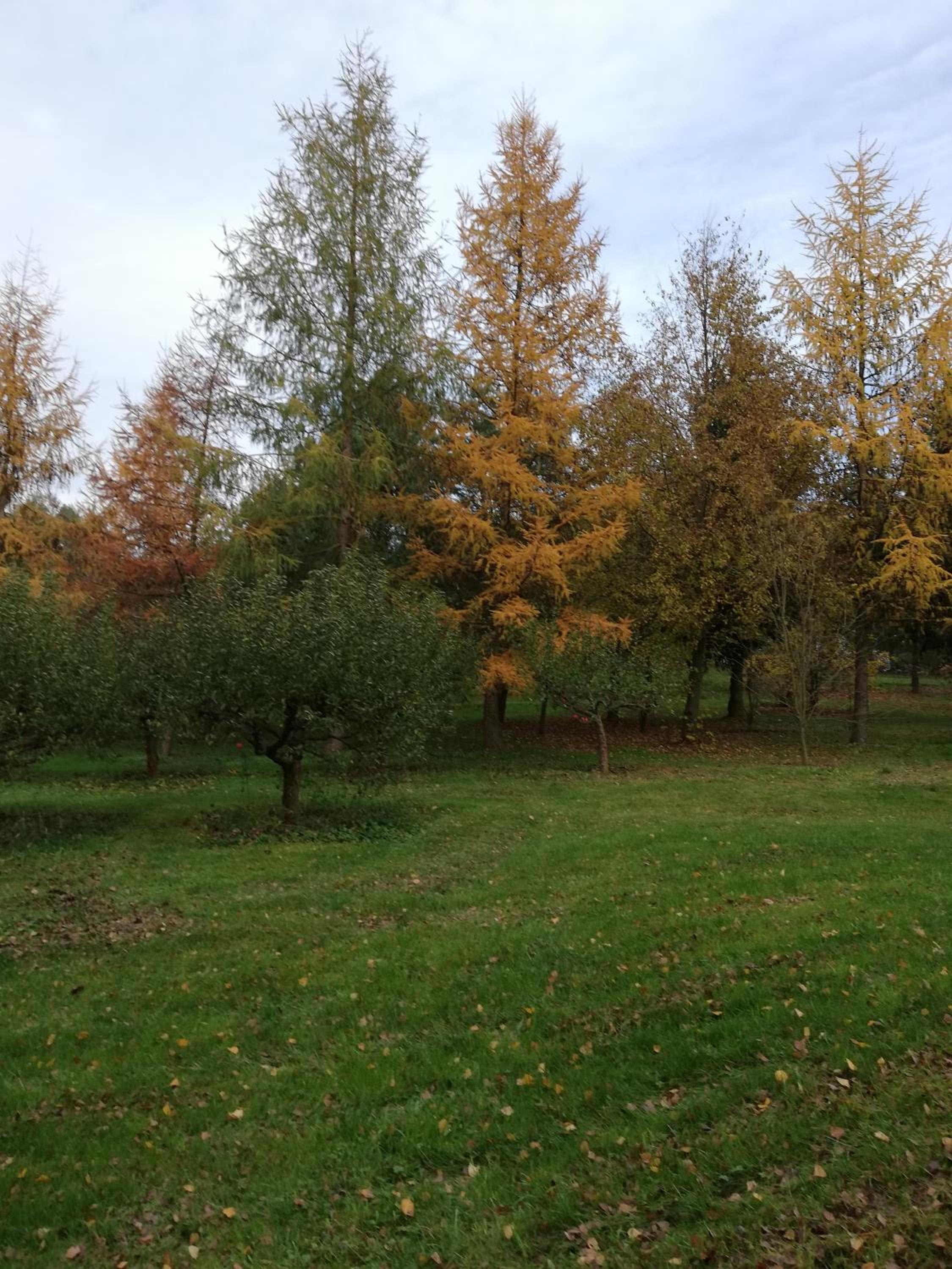 Photo 49