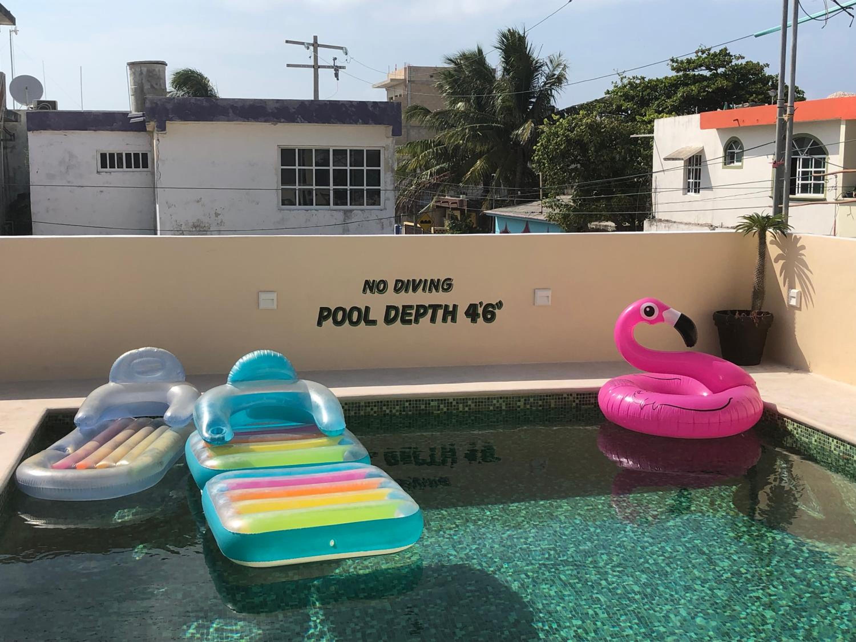 swimming pool
