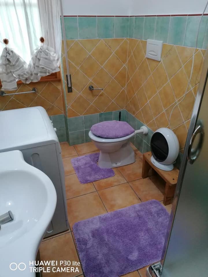 Photo 51