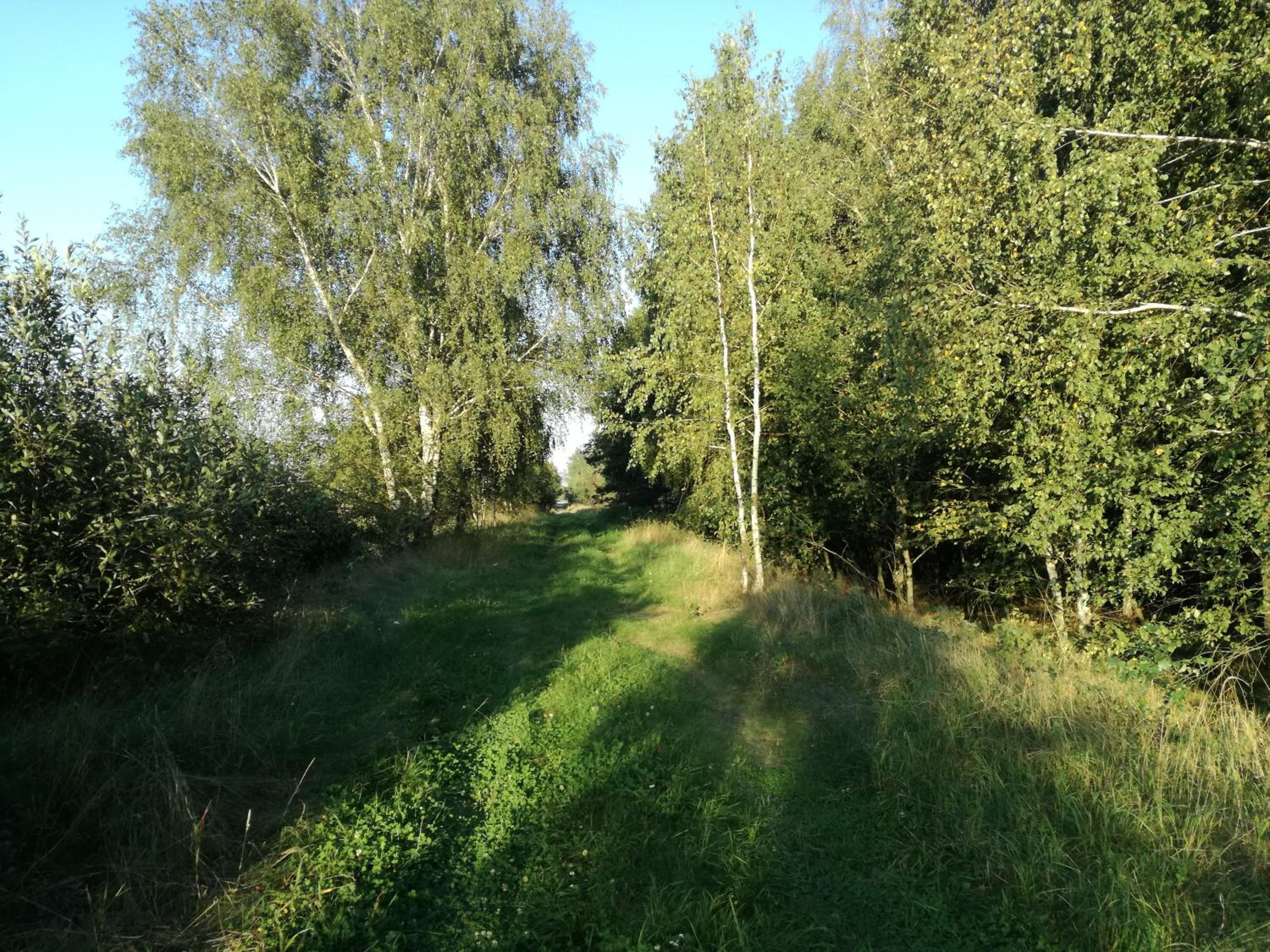 Siedlisko Bolek view 3