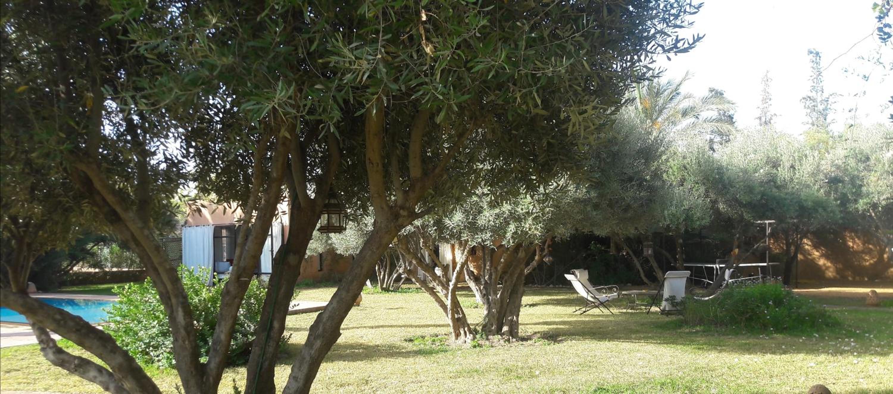 Douar Lain view 4