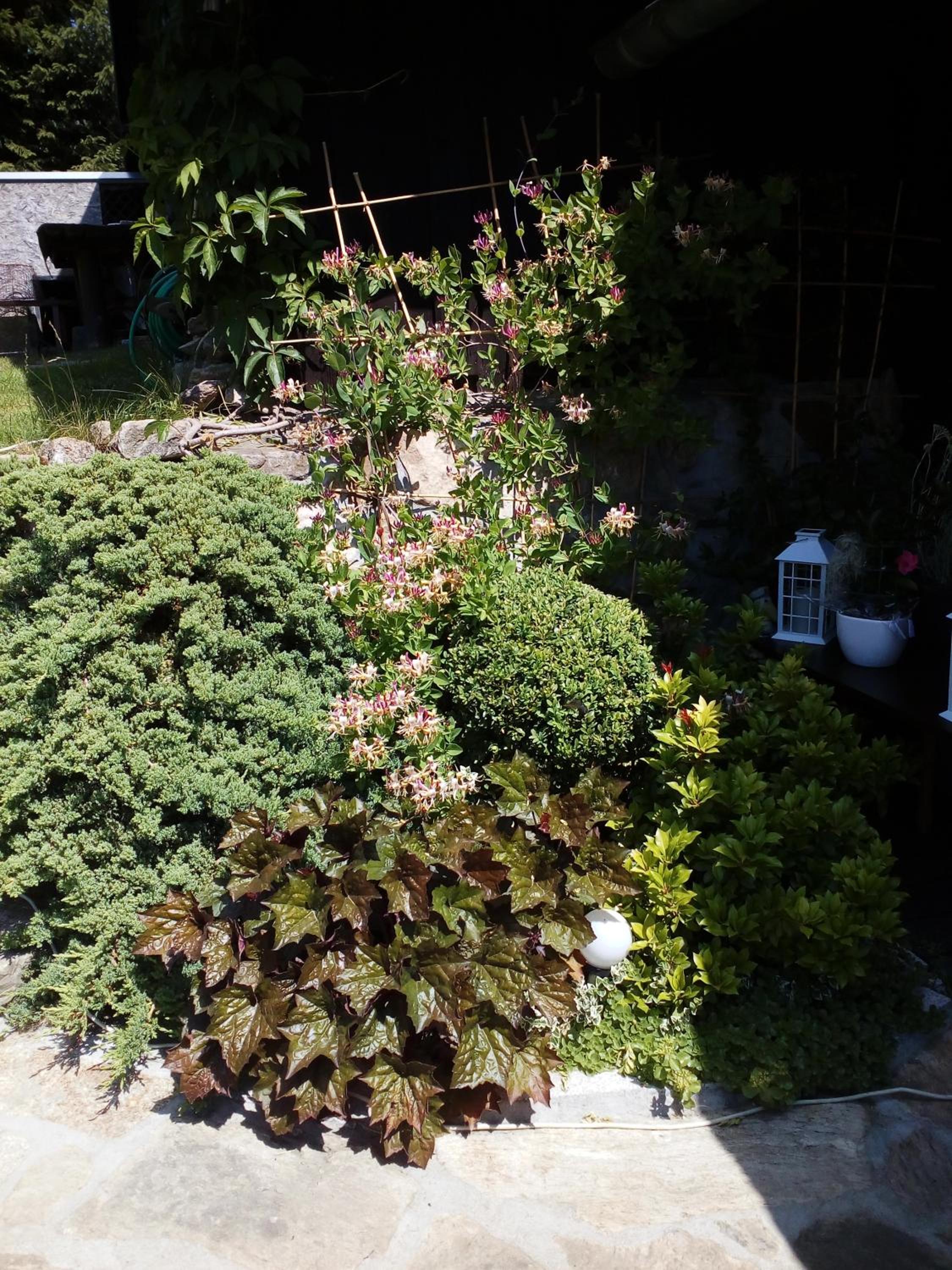 Photo 34