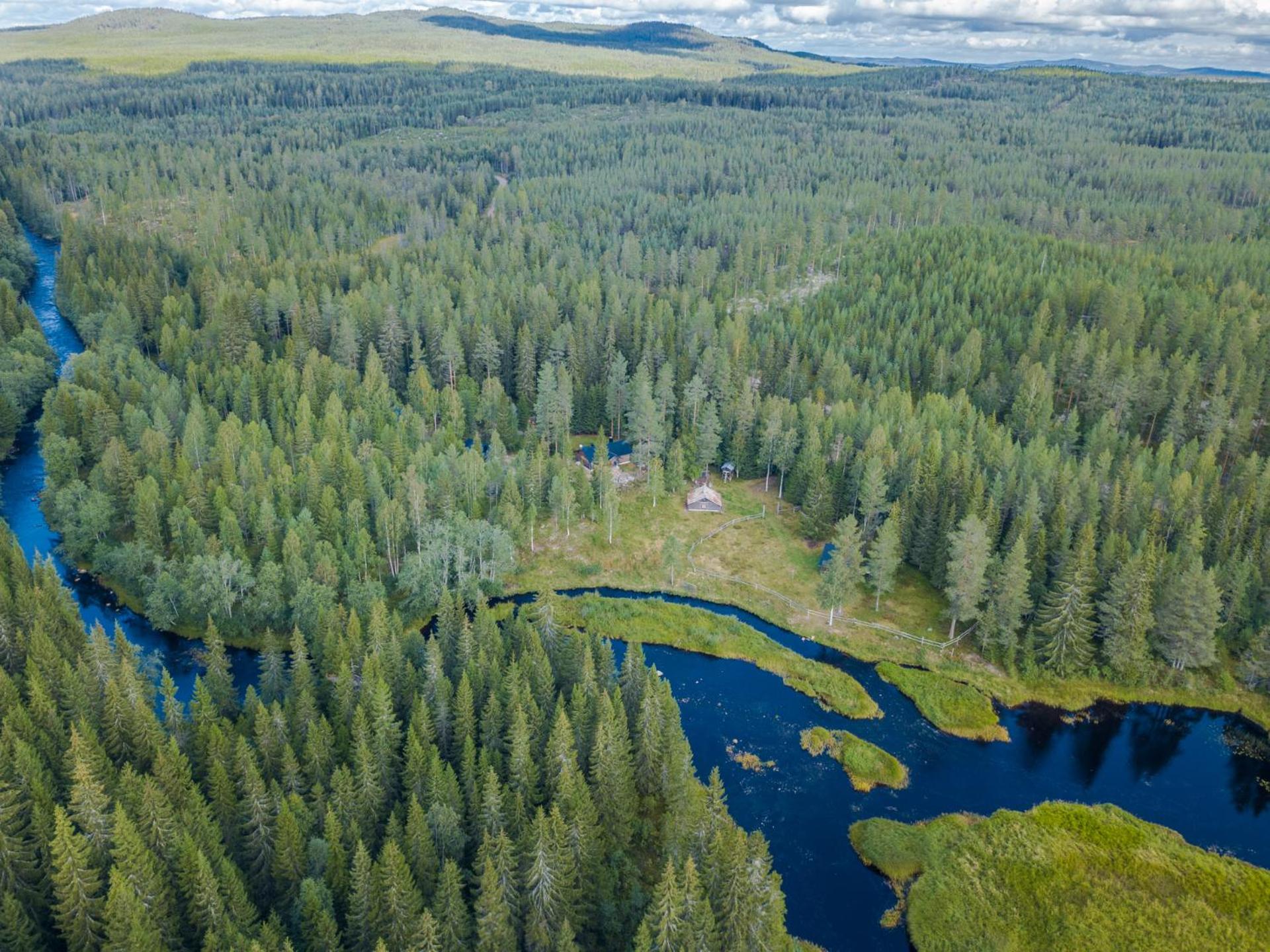 The Old Logging Camp