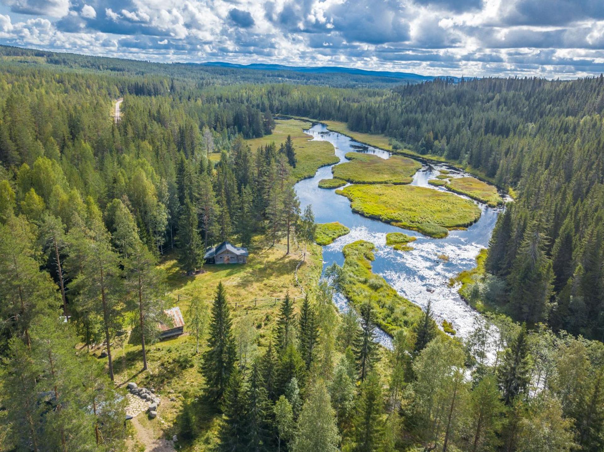 The Old Logging Camp