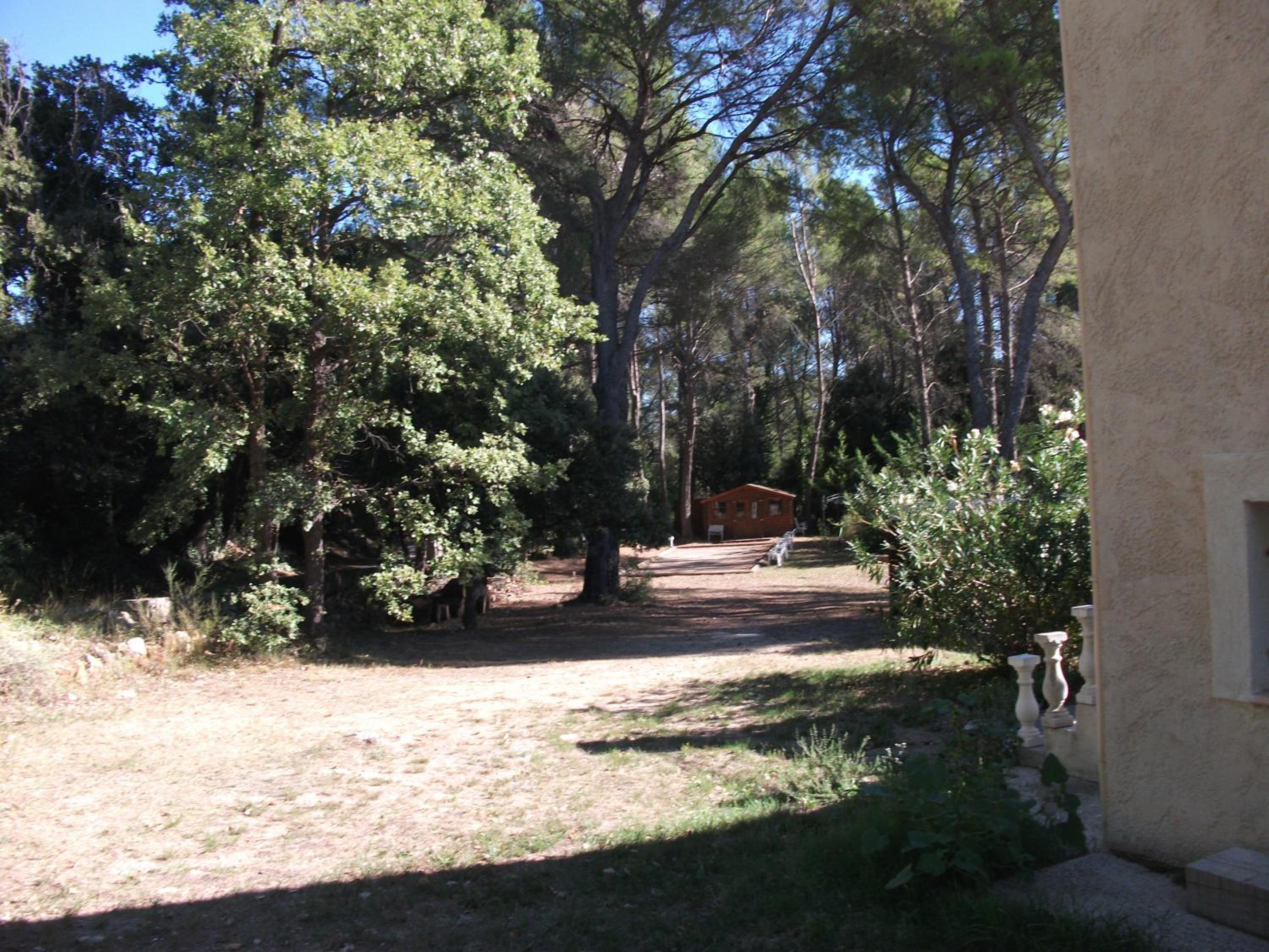 Photo 24