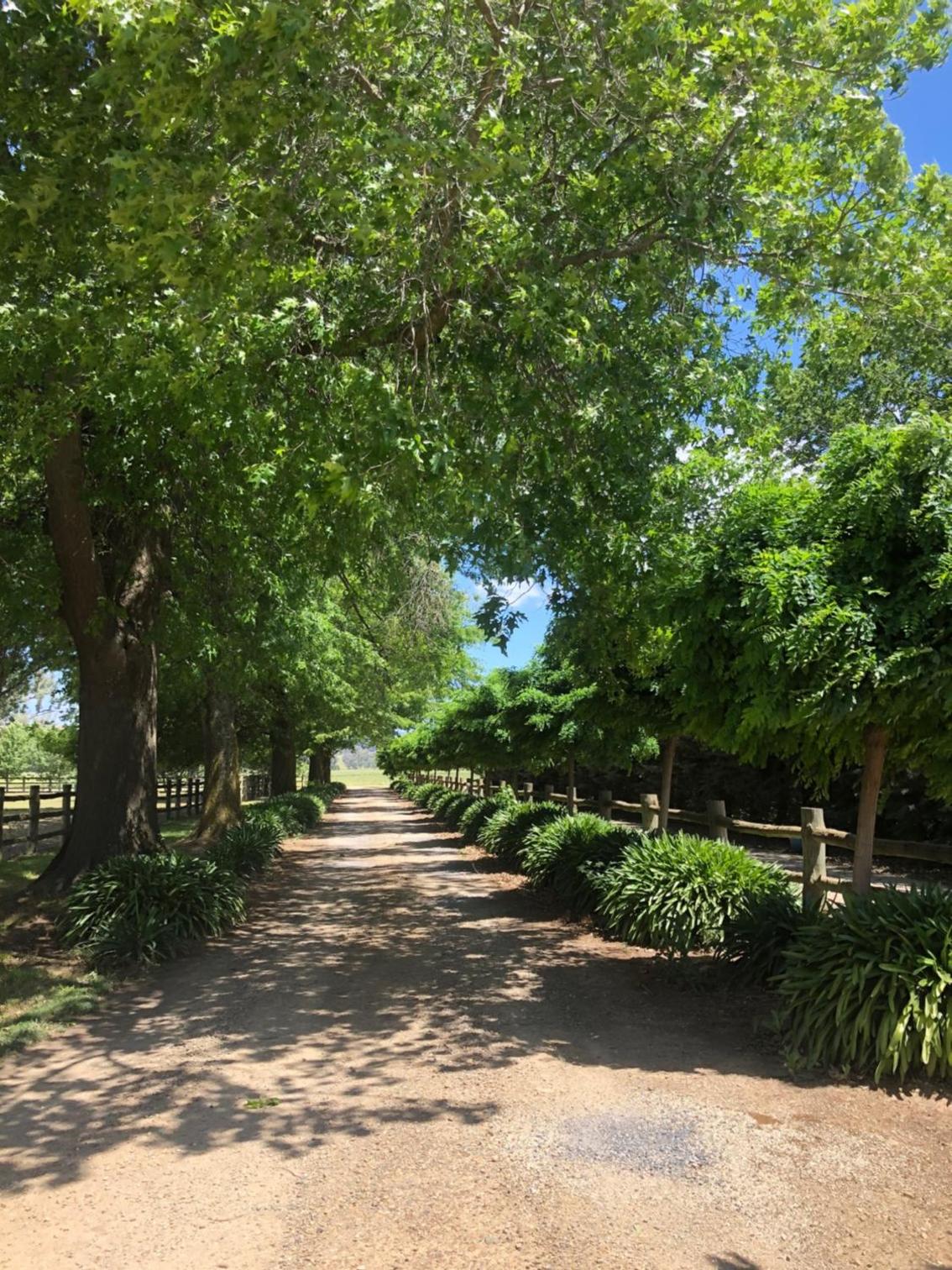 Oak Lane Guest House & Farm Stay