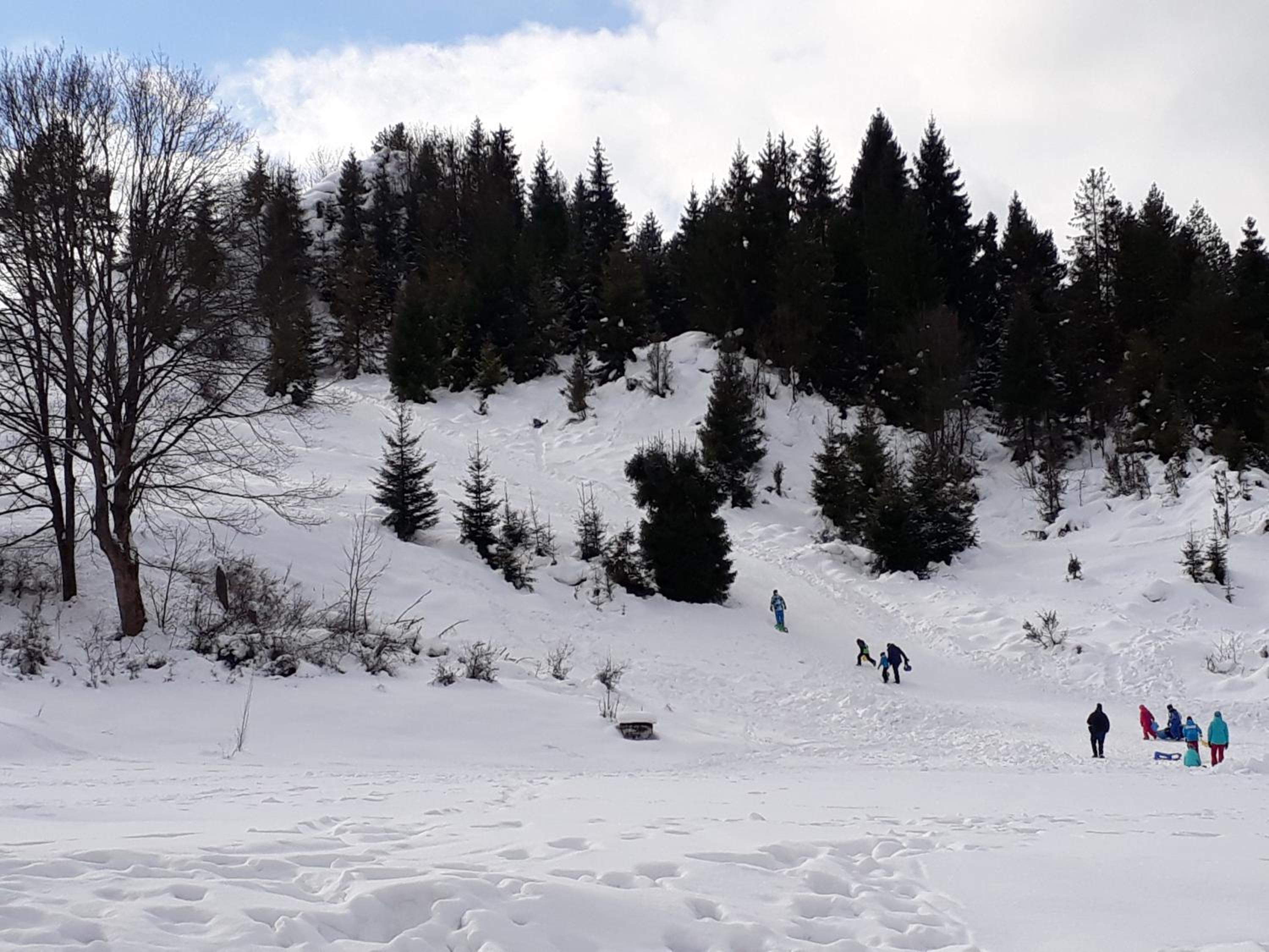 Photo 10