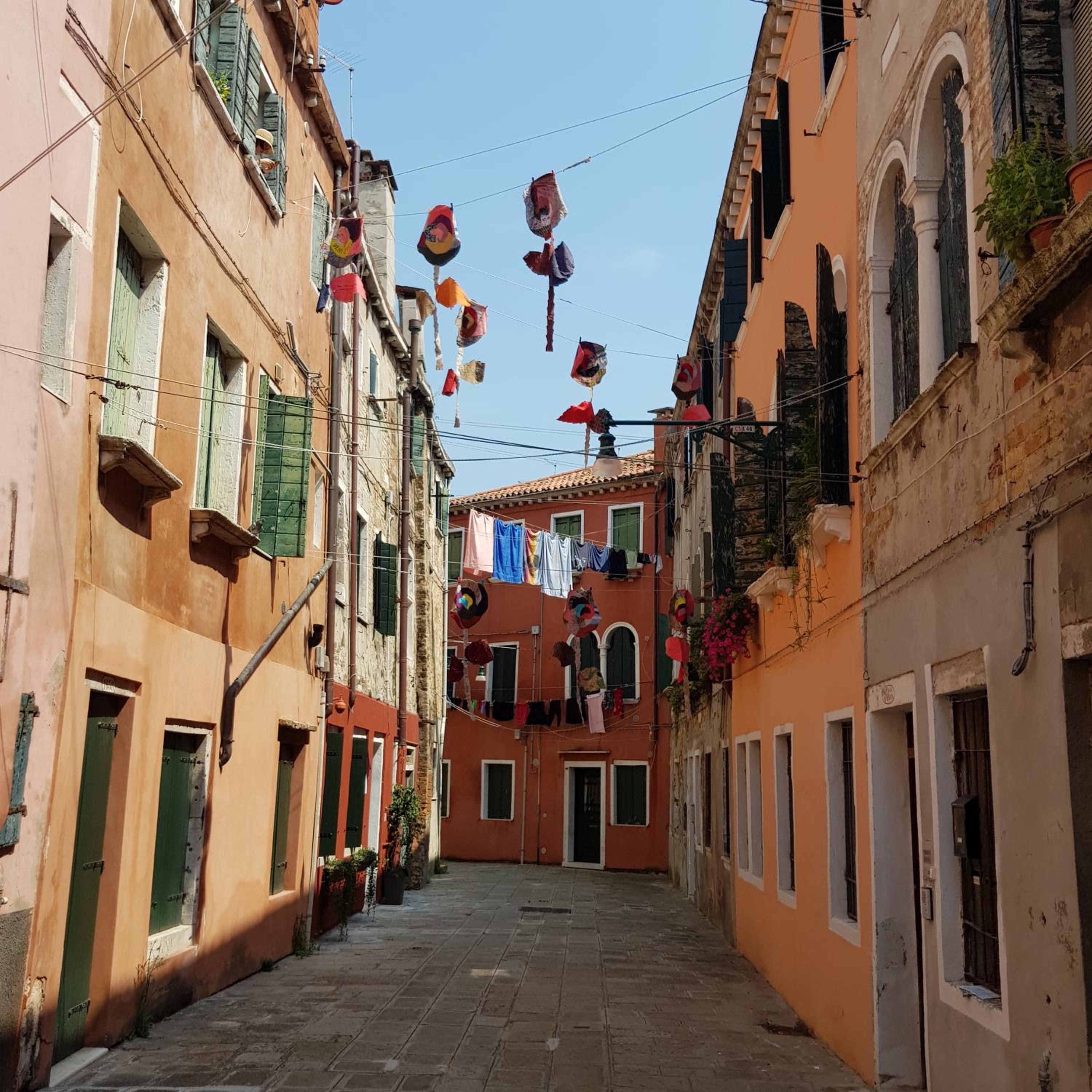 Cà Melidissa photo 1