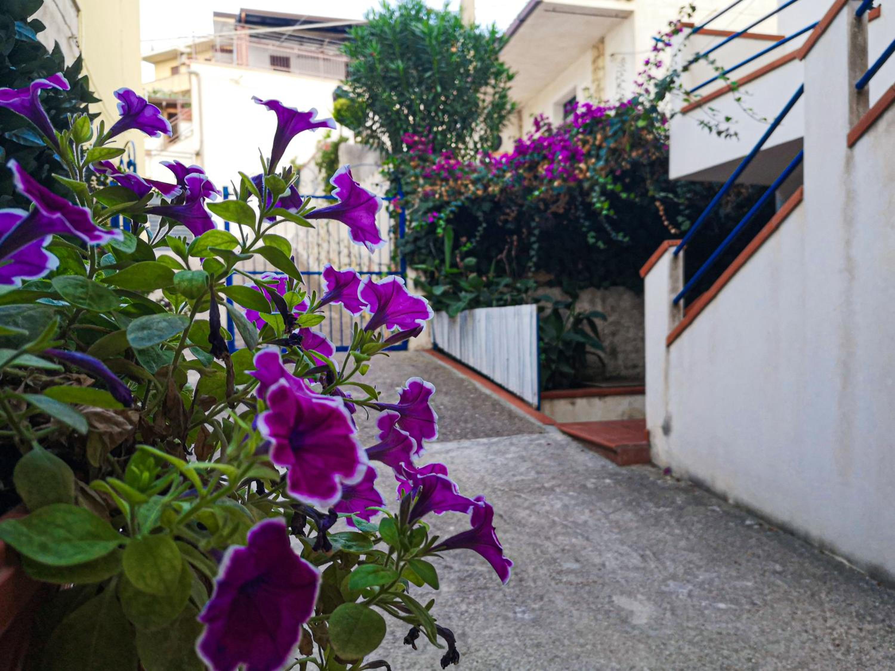 Casaulente Mare