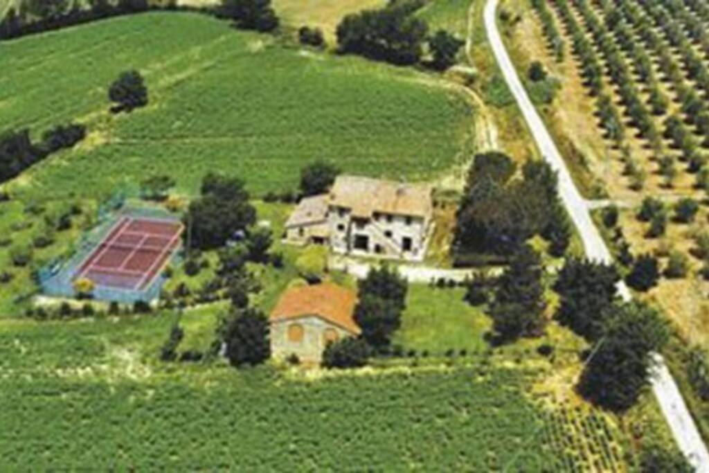 podere collesanto