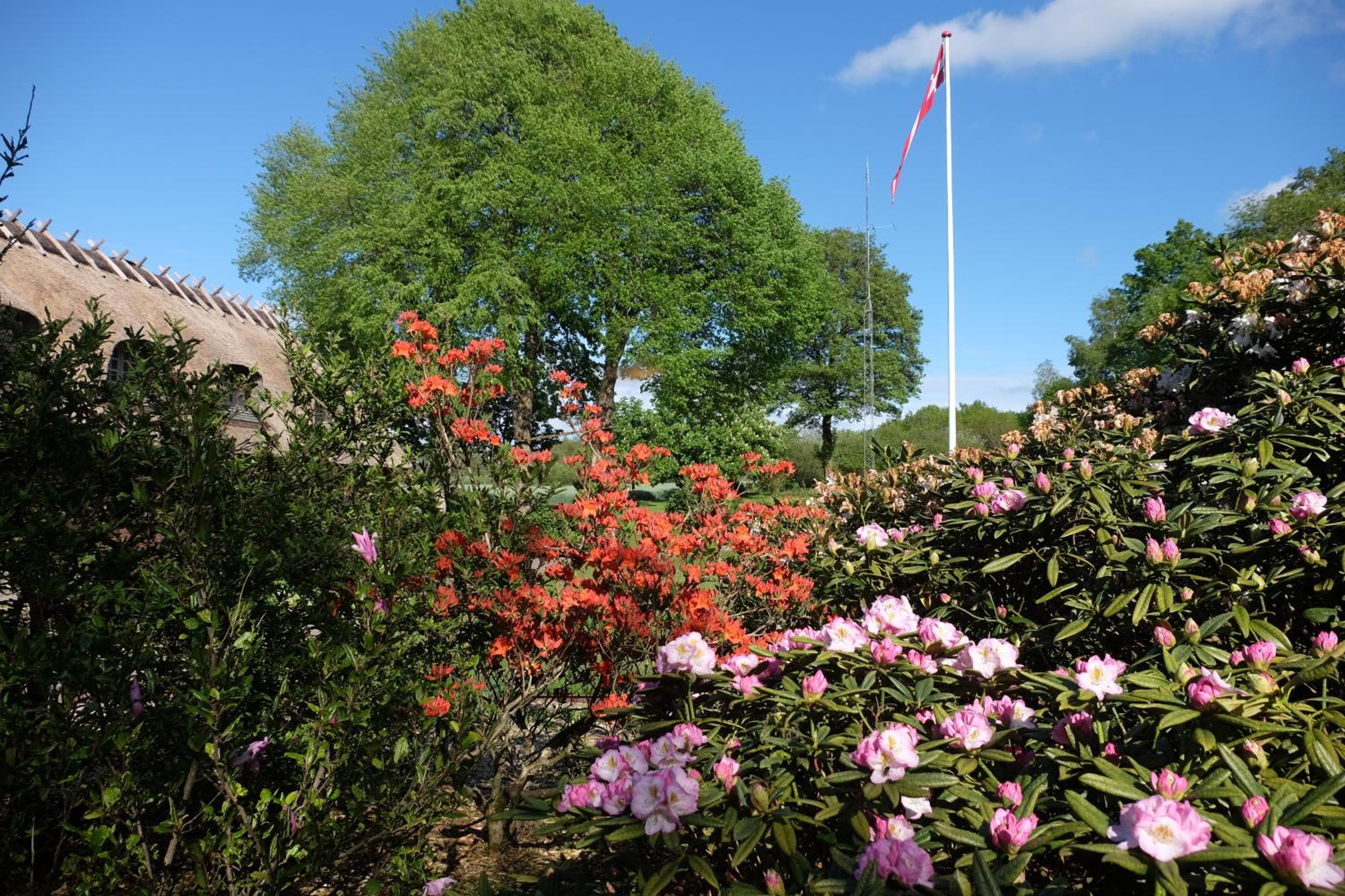 Billund Rooms