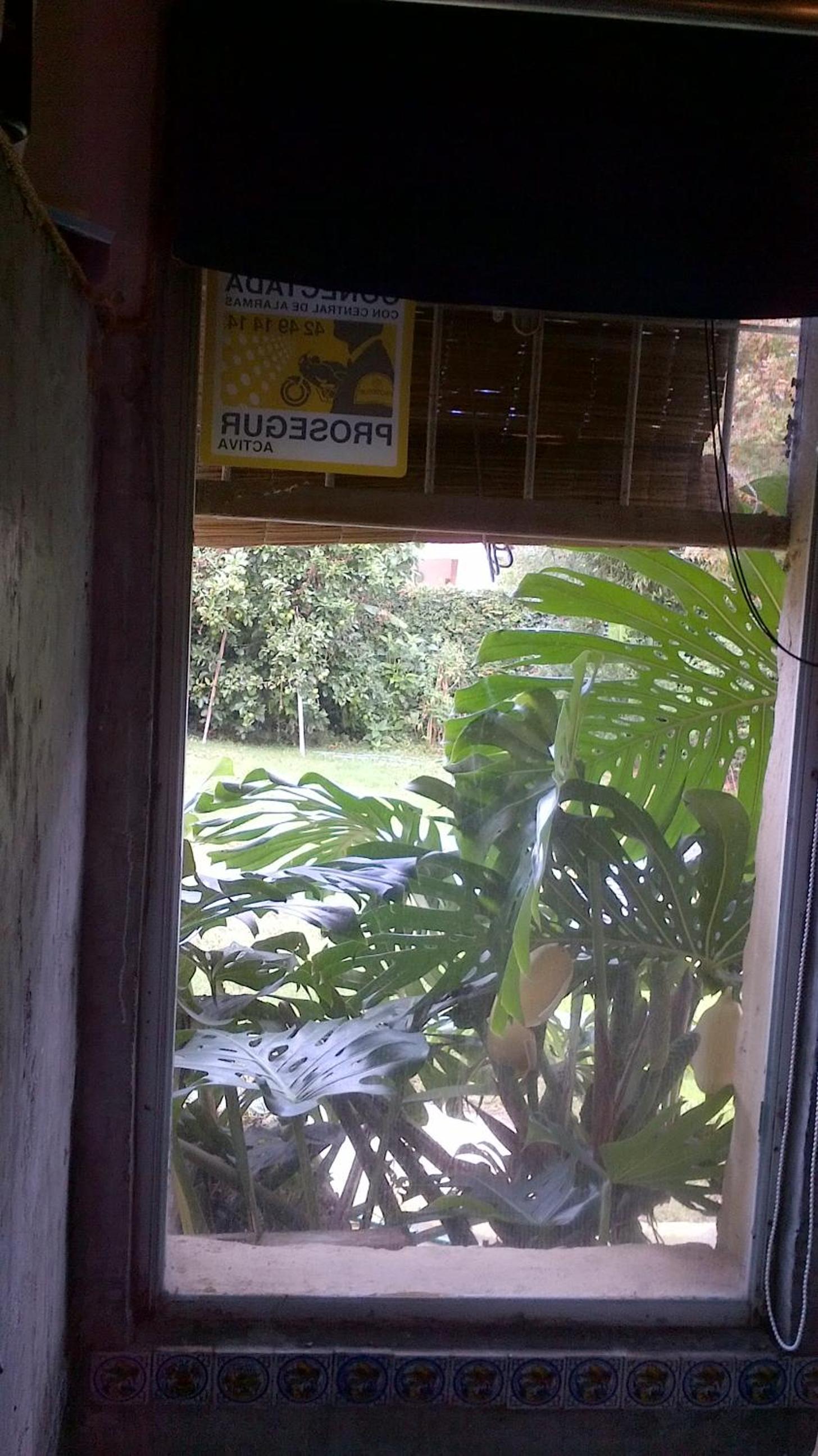 Mi Rincon view 5