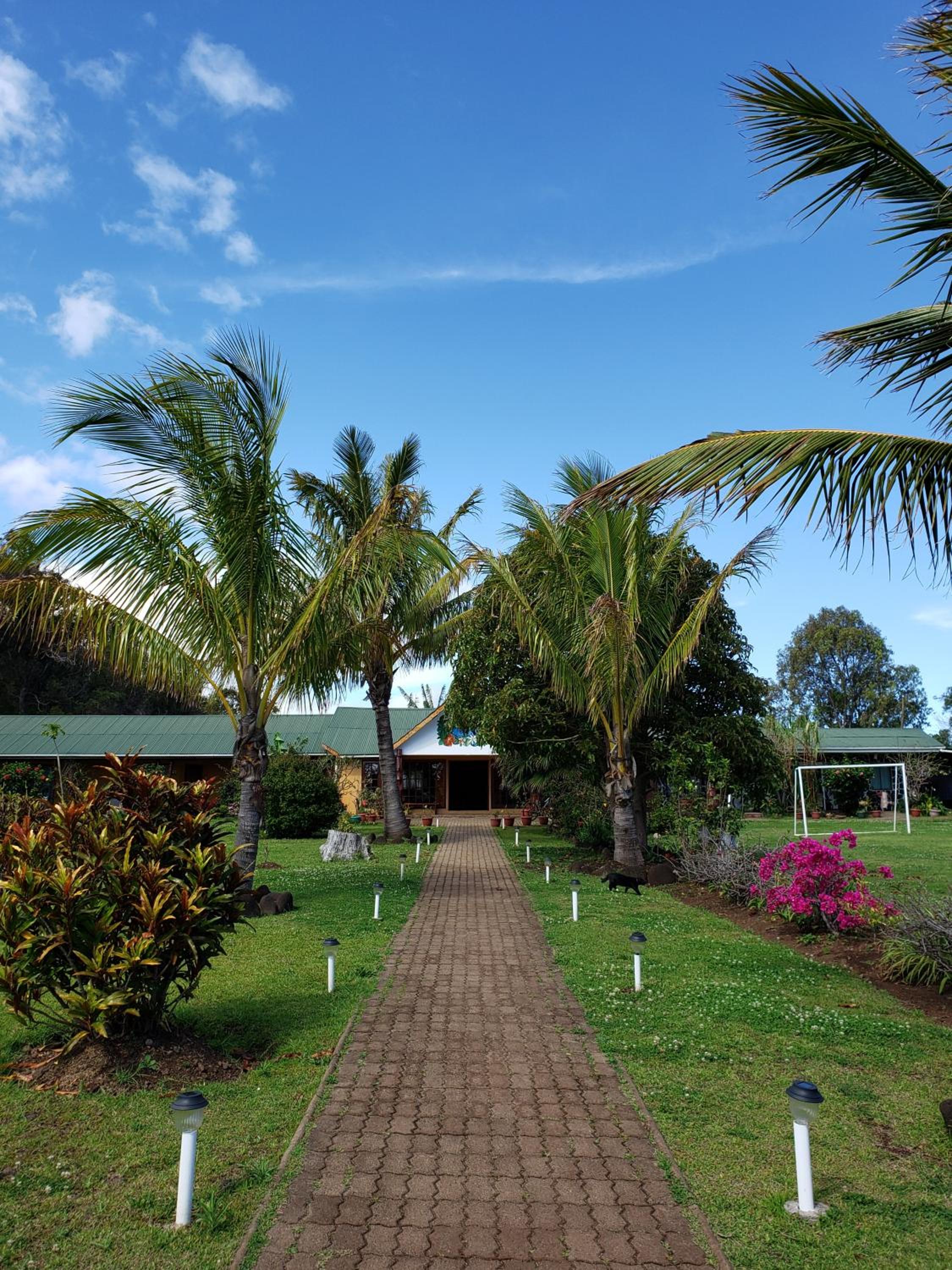 Cabañas Rapa Nui Orito