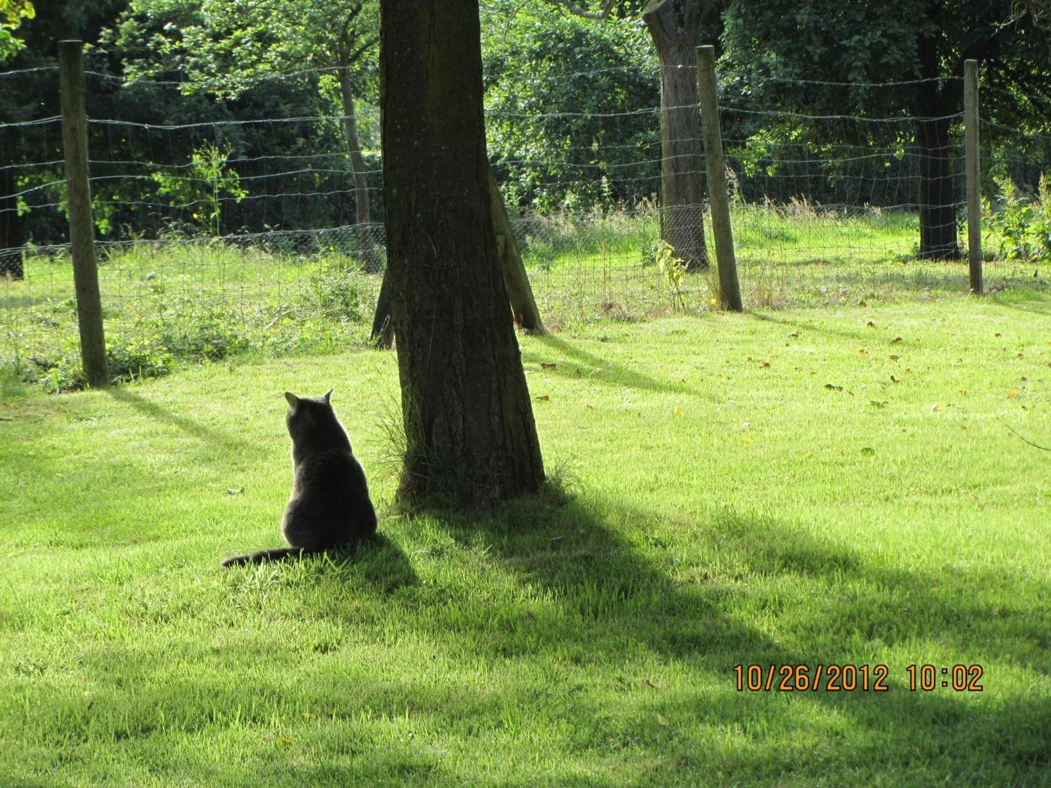 Photo 21