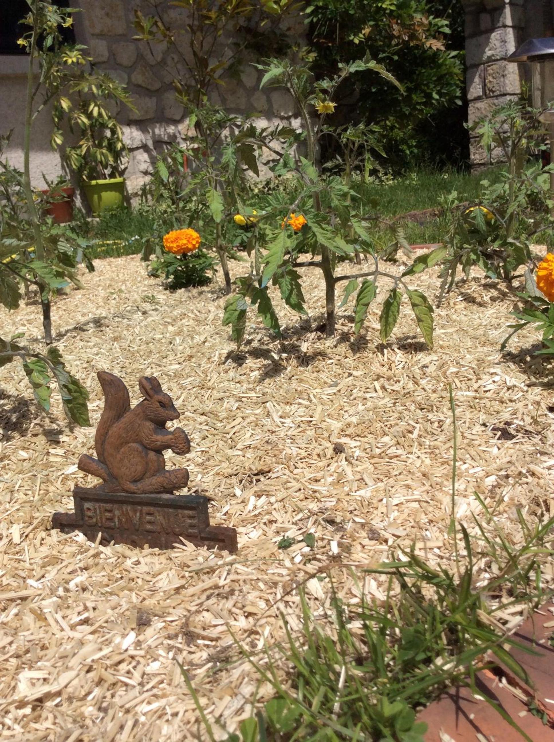 Photo 36