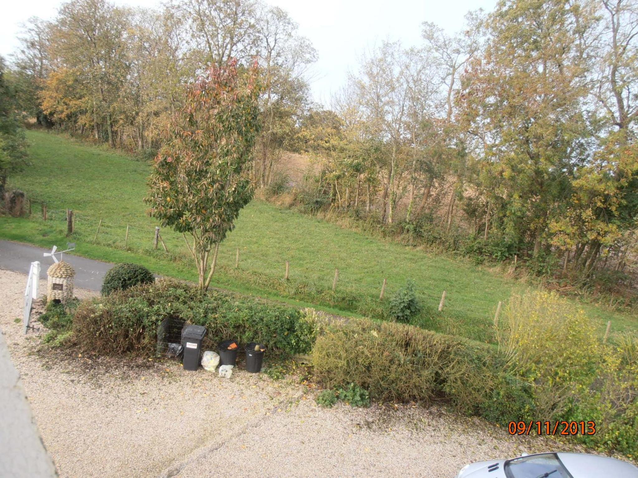 Photo 49