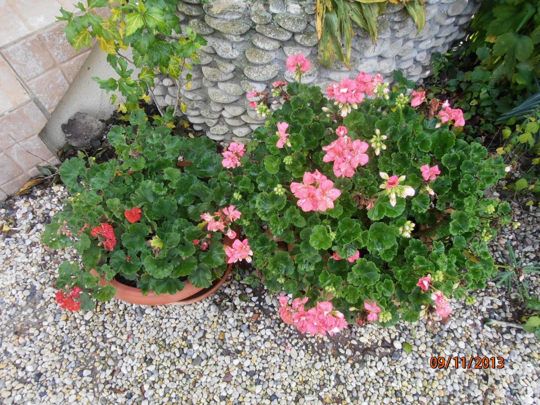Photo 52