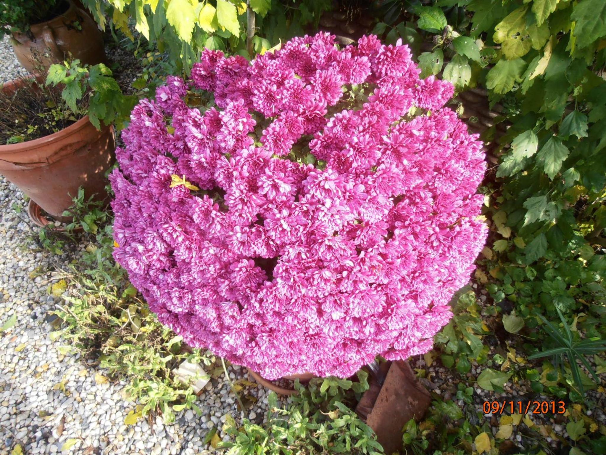 Photo 46