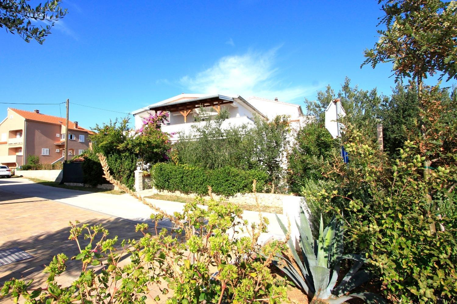 Photo 16