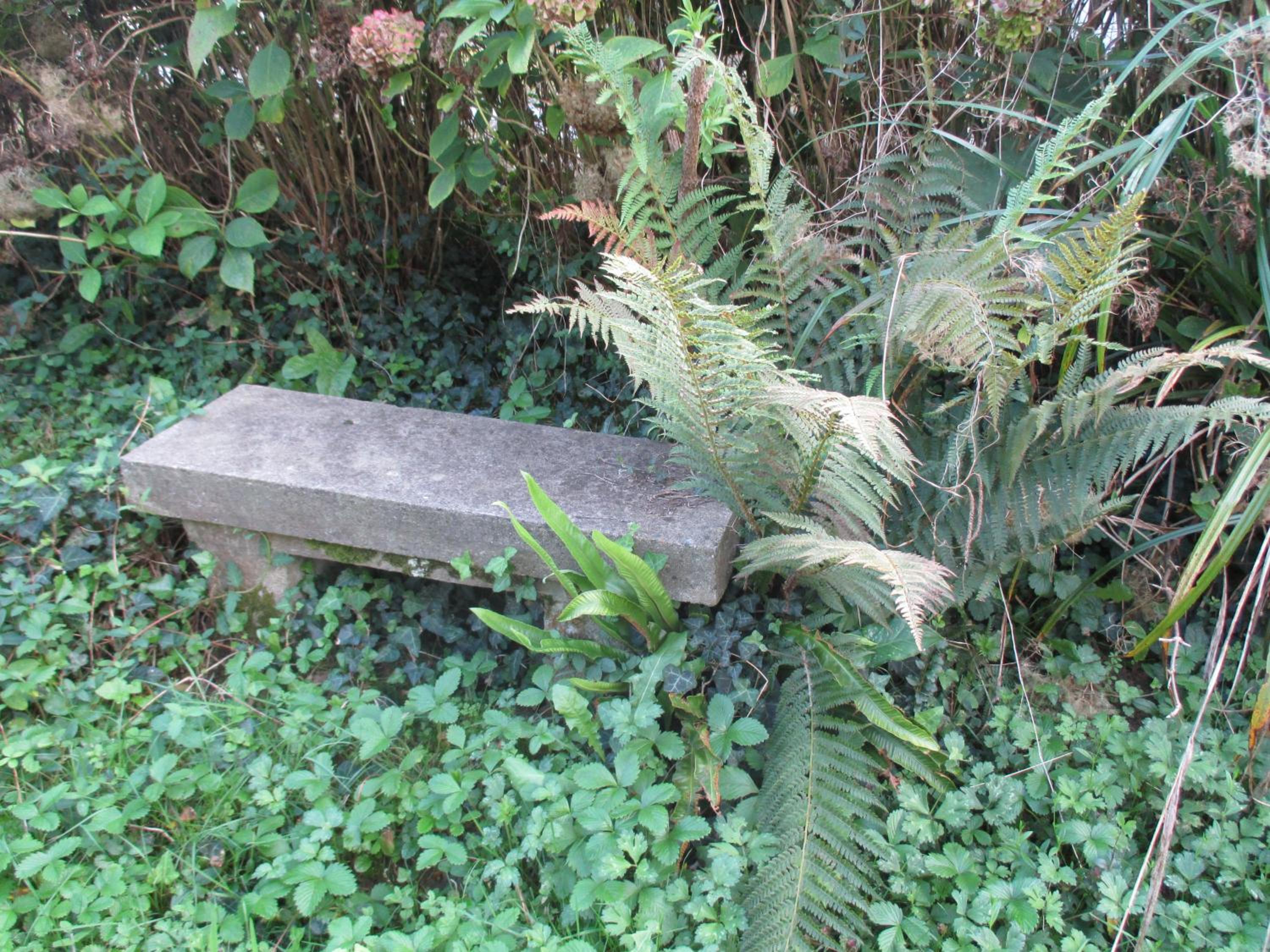 Photo 15