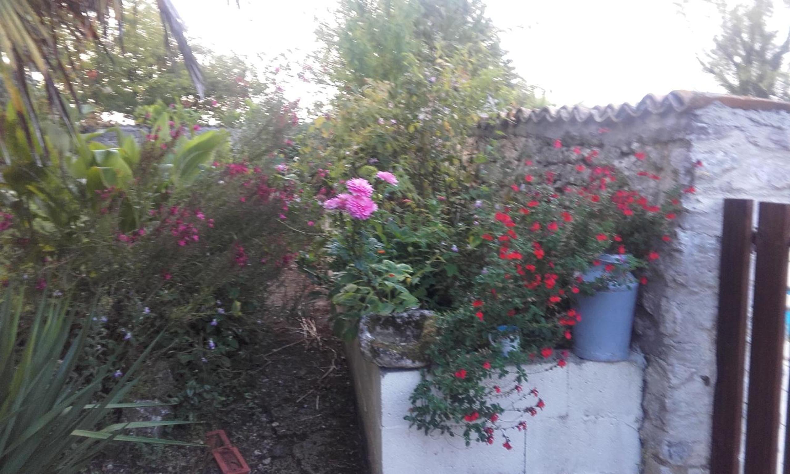 Gîte Rouge Calme et Nature view 2