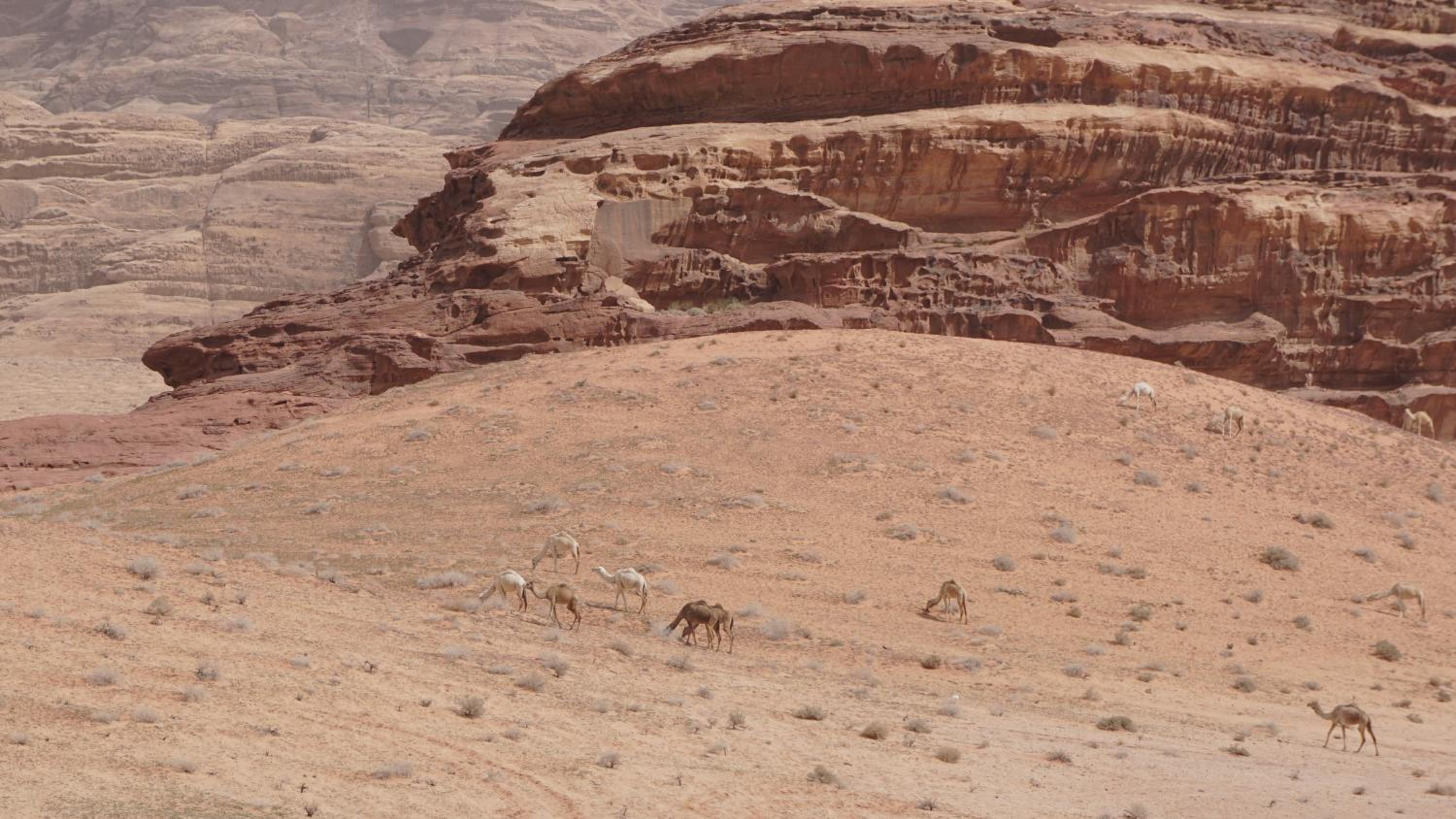The Bedouin Meditation Camp