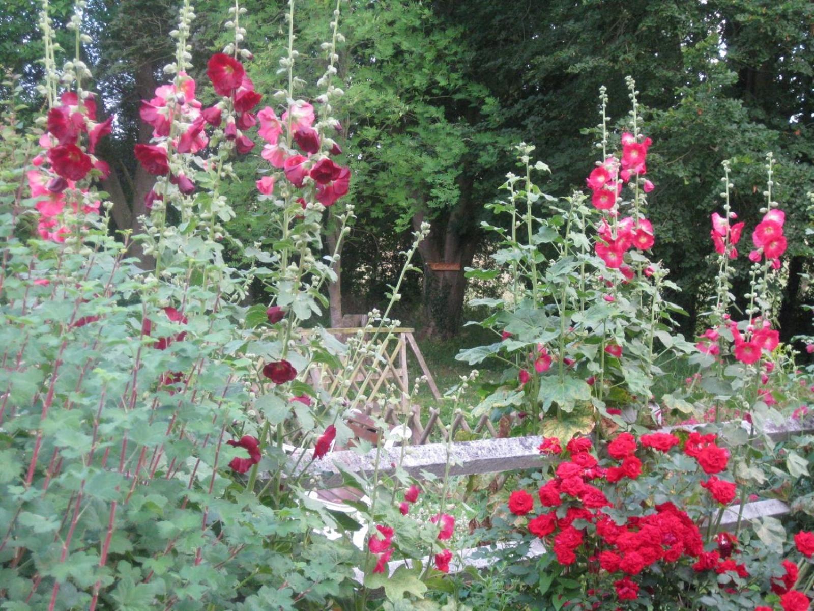 Photo 37