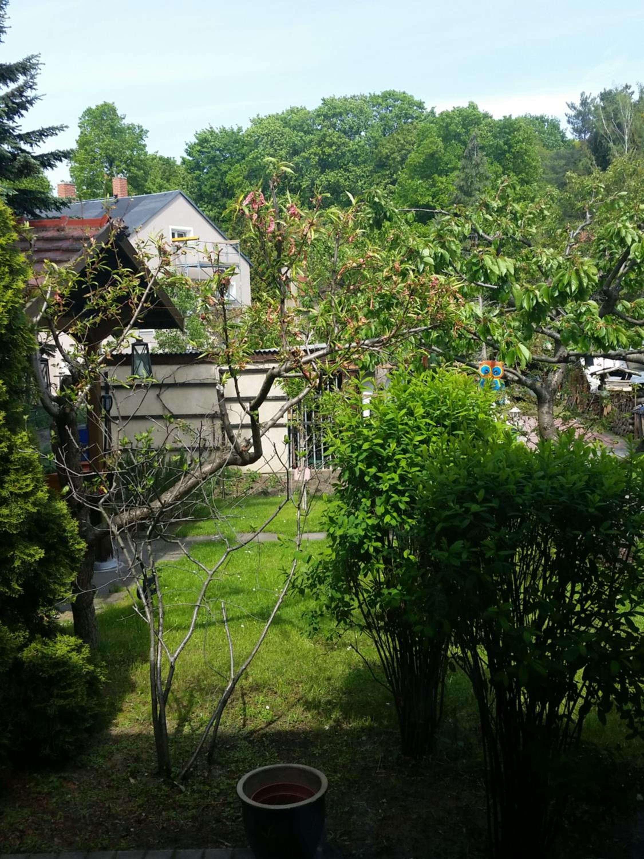 Dresden Vacations - Ferienwohnung Gerlach - Property Image 2