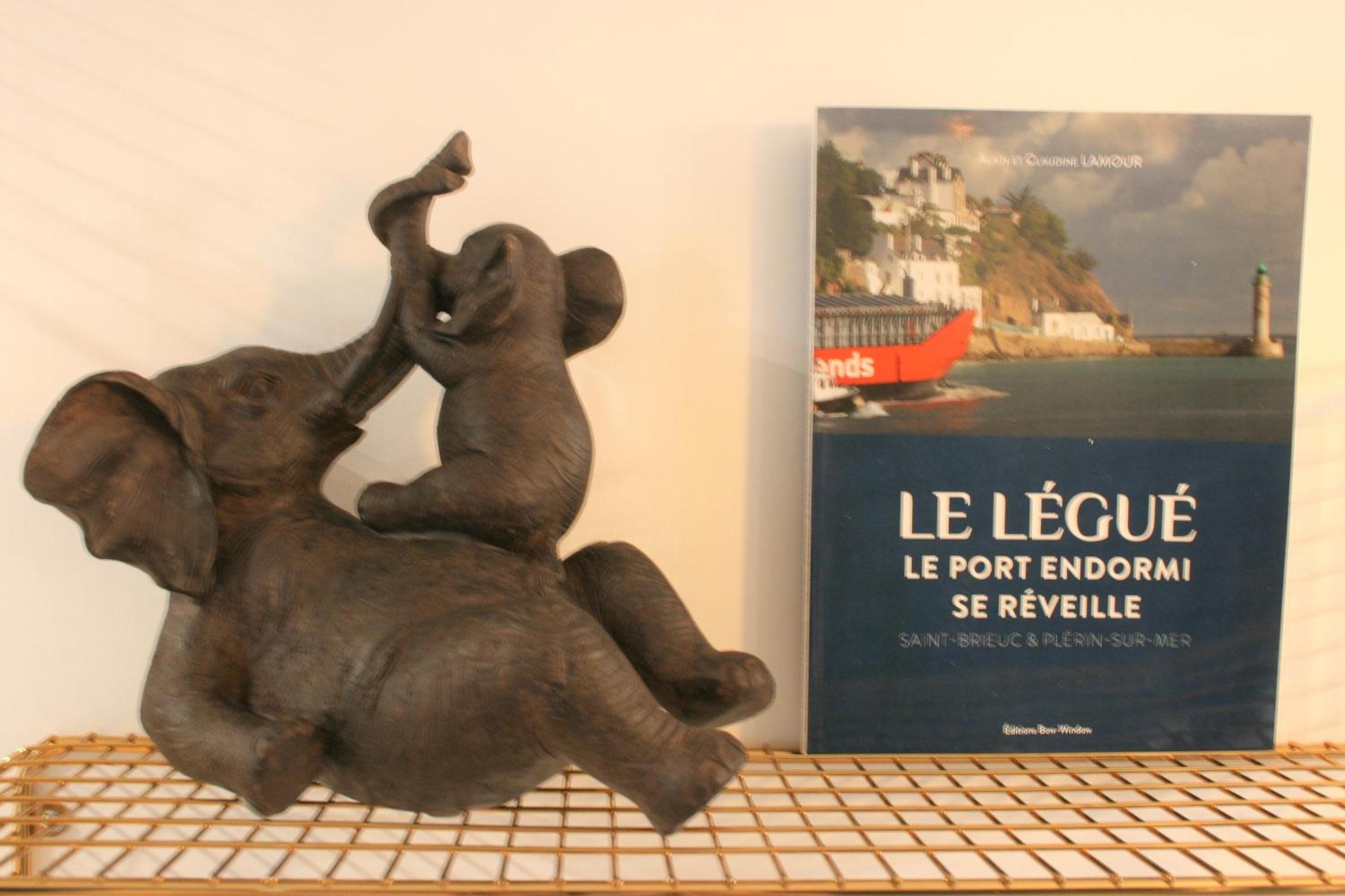 Superbe studio entre le port et le centre ville - LIT KING-SIZE, WiFi & NETFLIX gratuit view 5