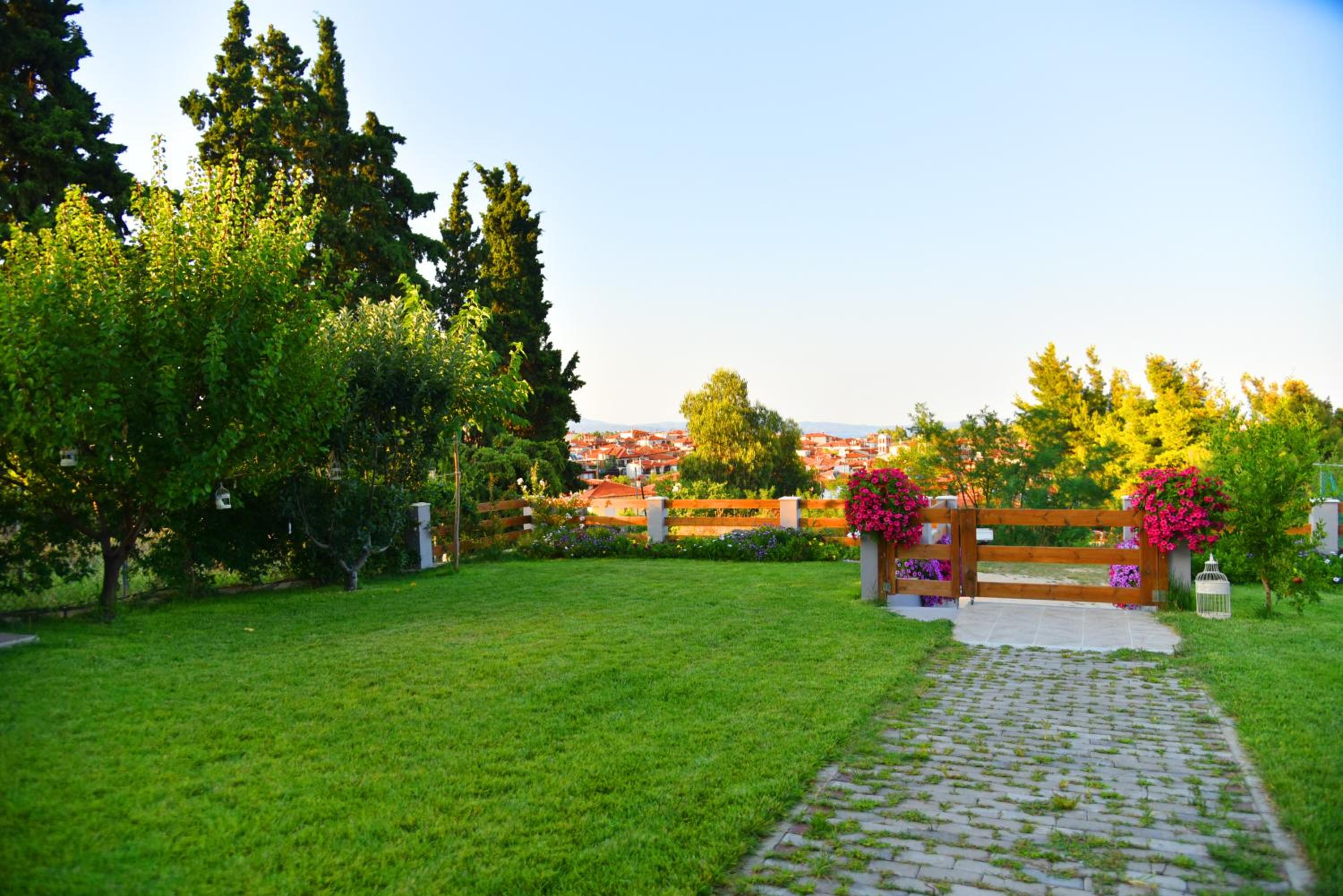 Photo 24
