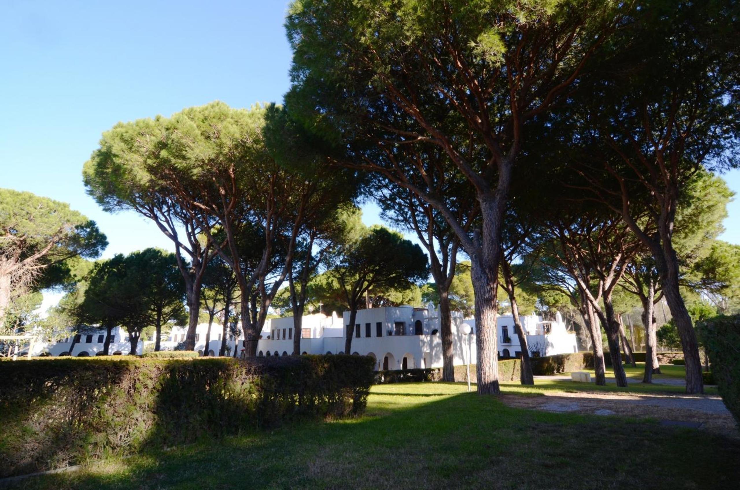 PIVERD DEL GOLF 11 photo 5