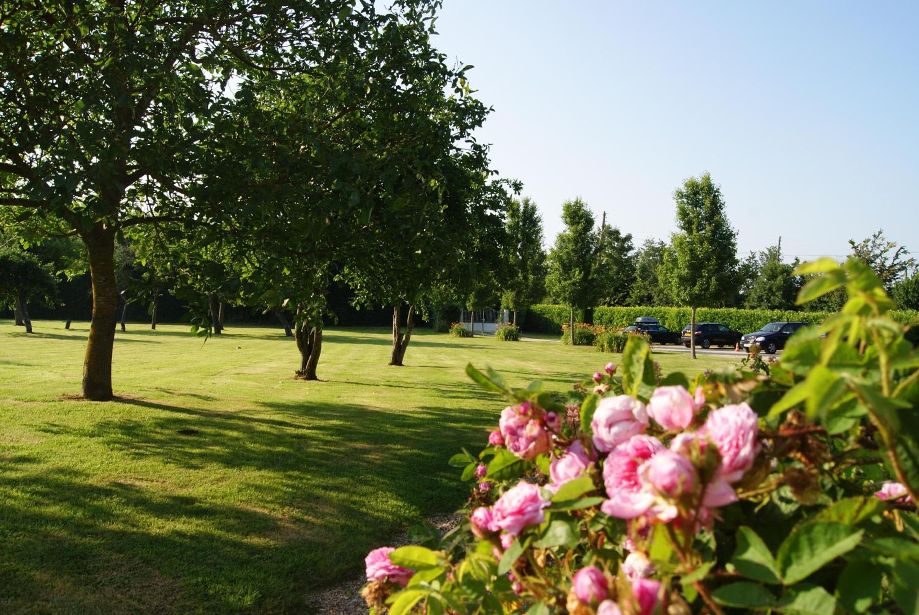 Manoir de la Pataudière B&B