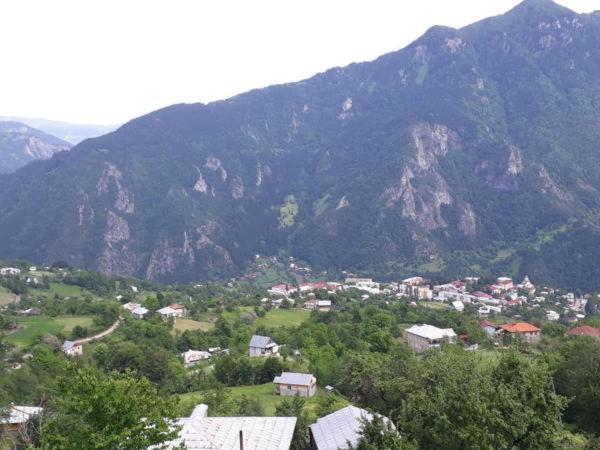 Photo 35