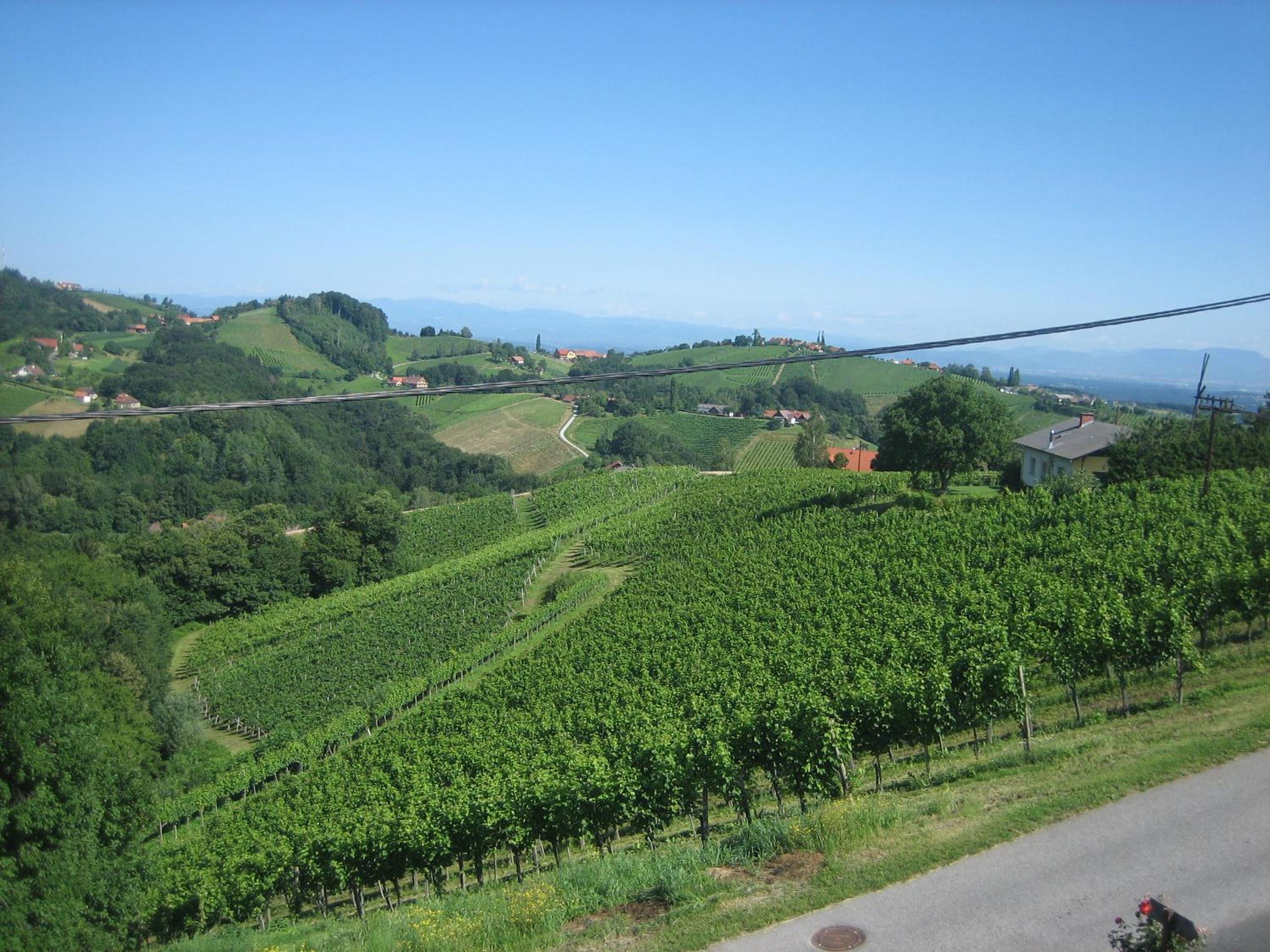 Weingut Lambauer