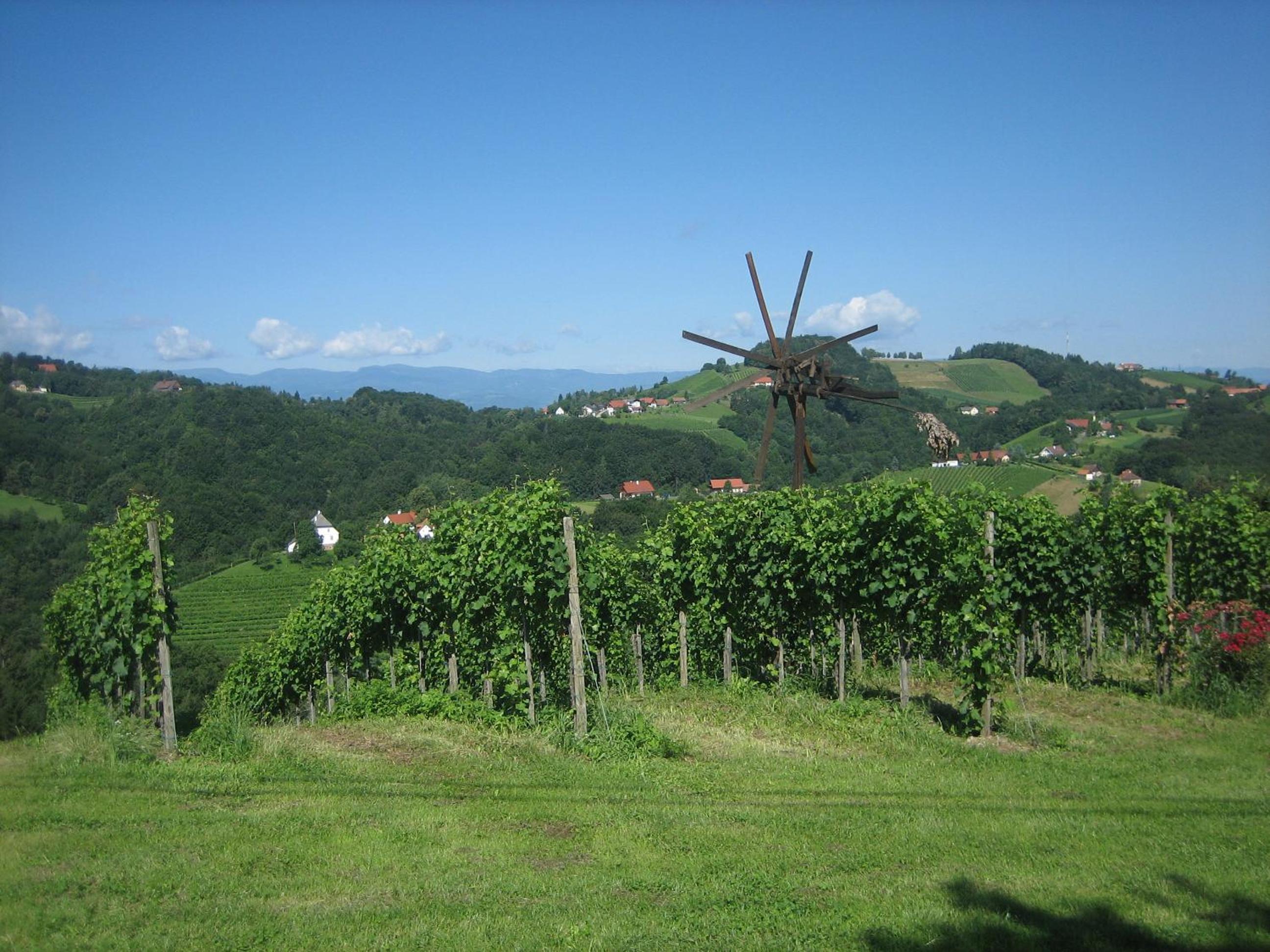 Weingut Lambauer