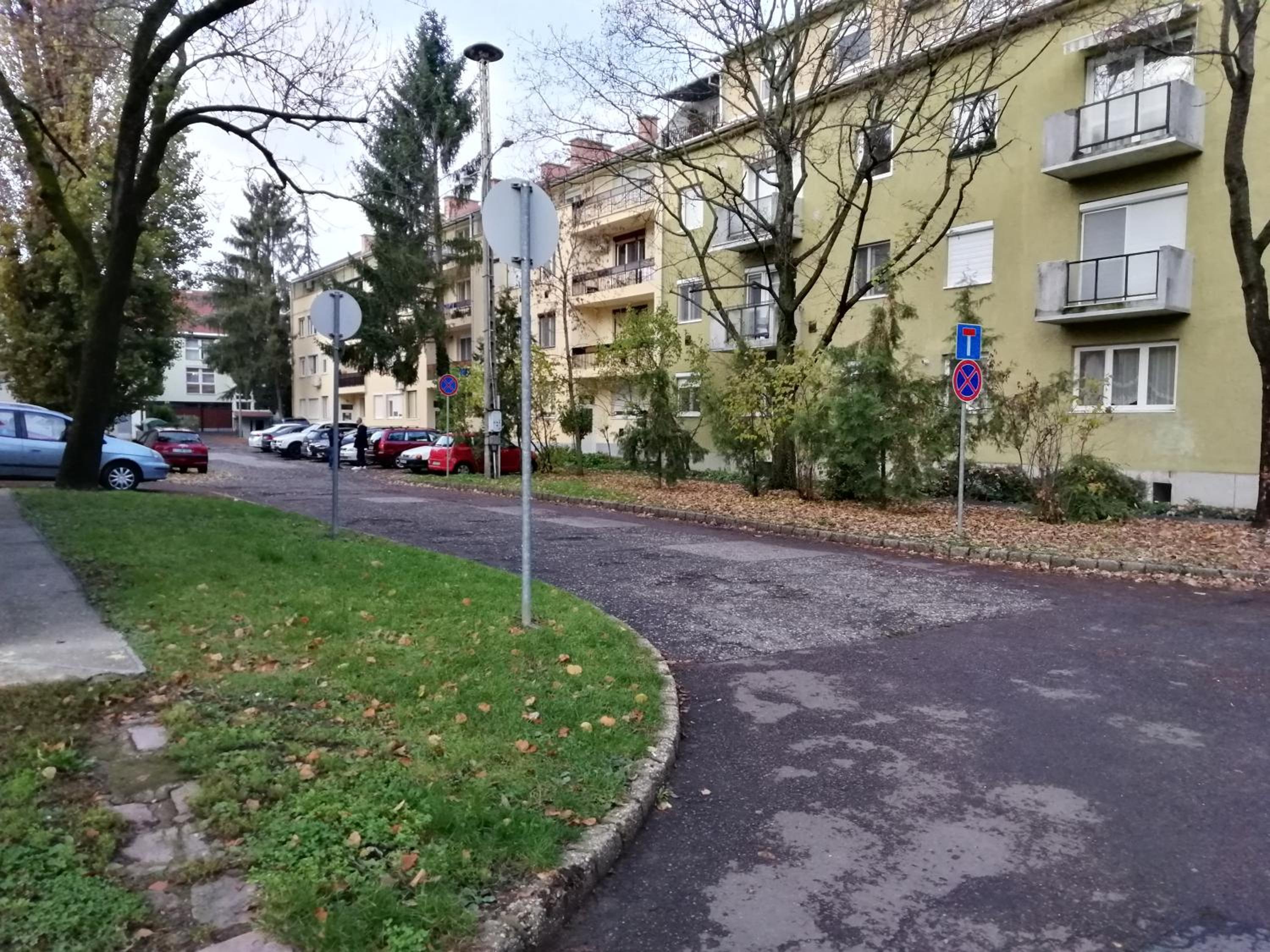 Tulip Family Apartments view 2