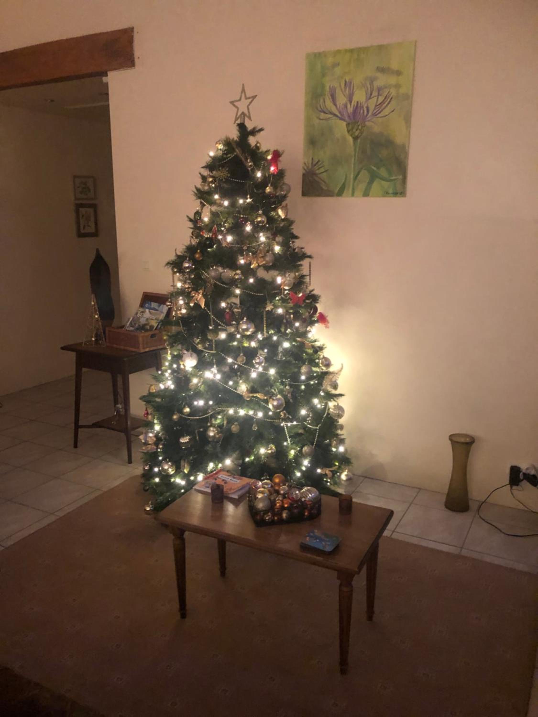 Photo 22