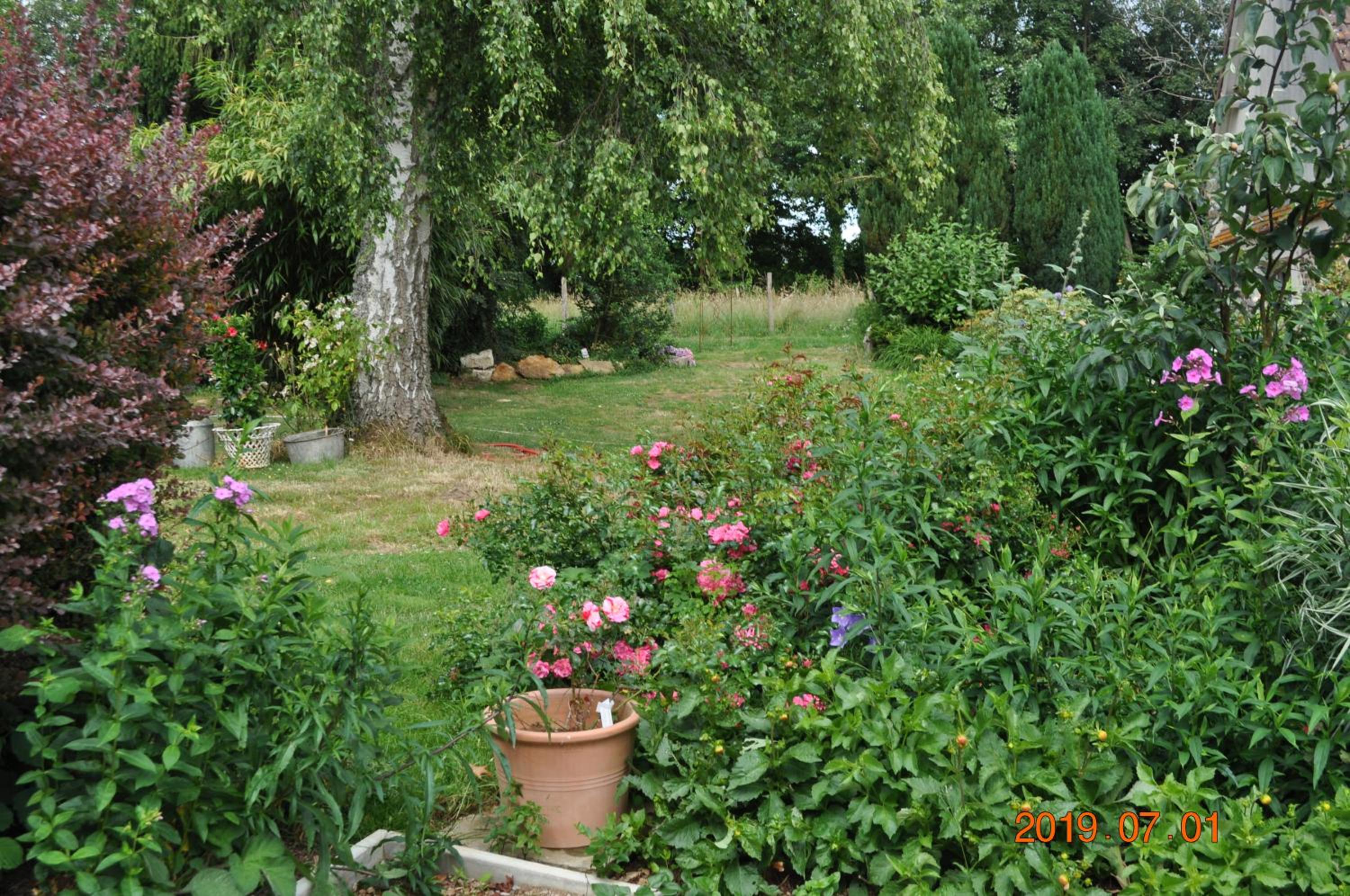 Photo 31