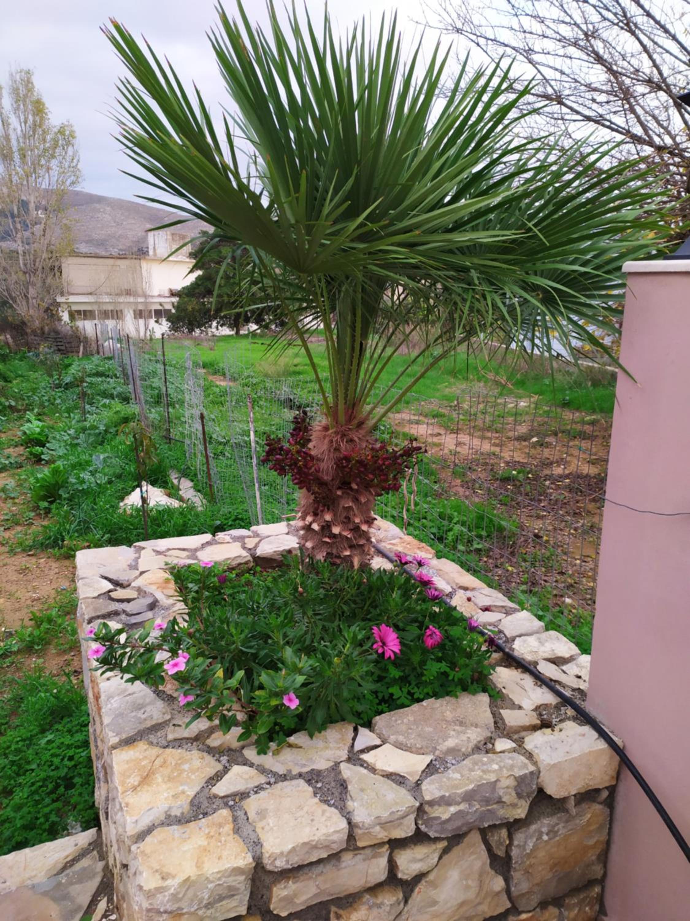 Photo 40