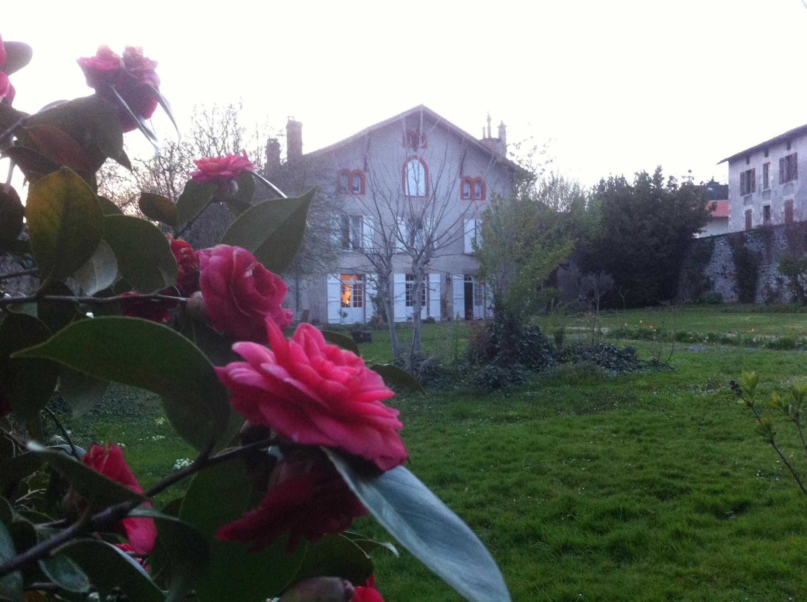 Photo 43
