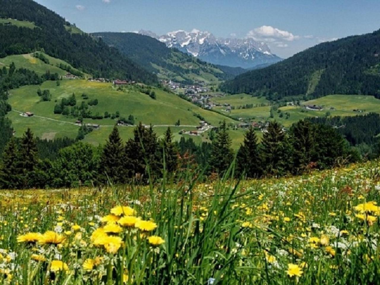 Haus Waldblick